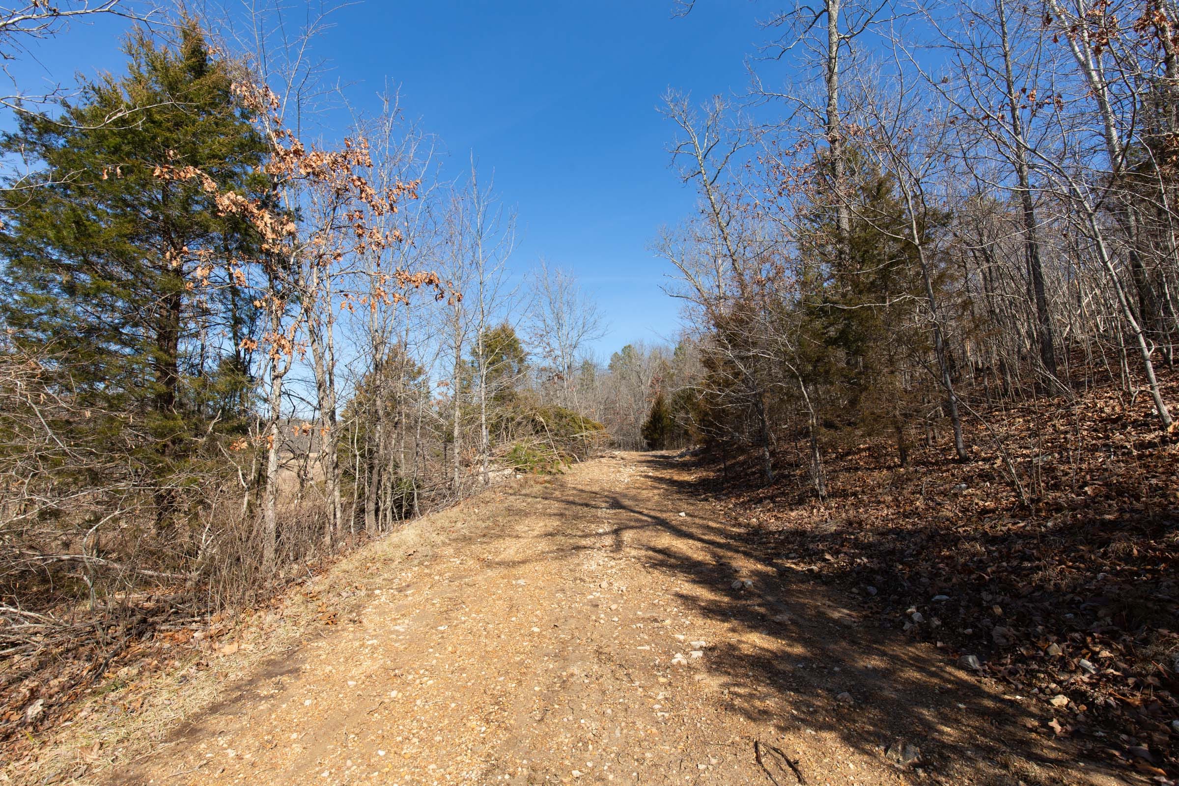 O’Connor Crossing Tract 25 photo 10