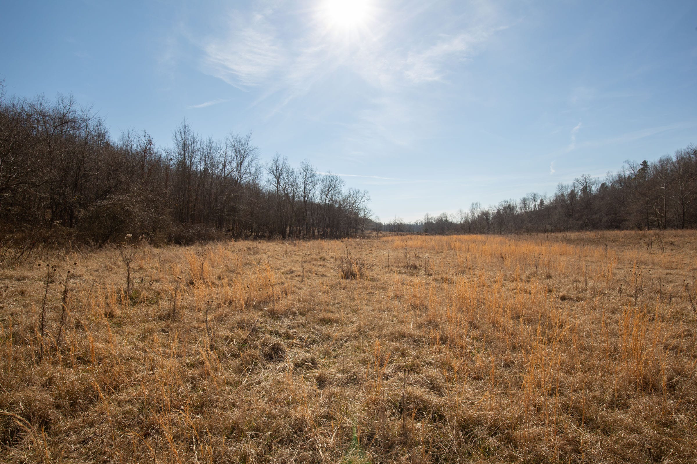 O’Connor Crossing Tract 25 photo 8