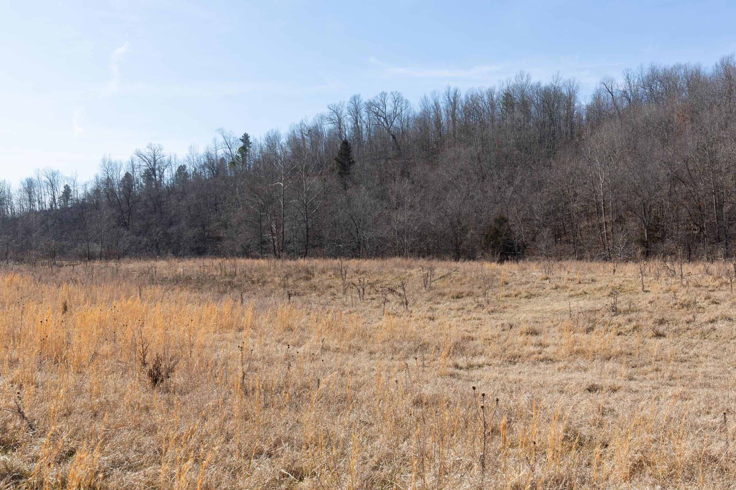 O’Connor Crossing Tract 25 photo 12