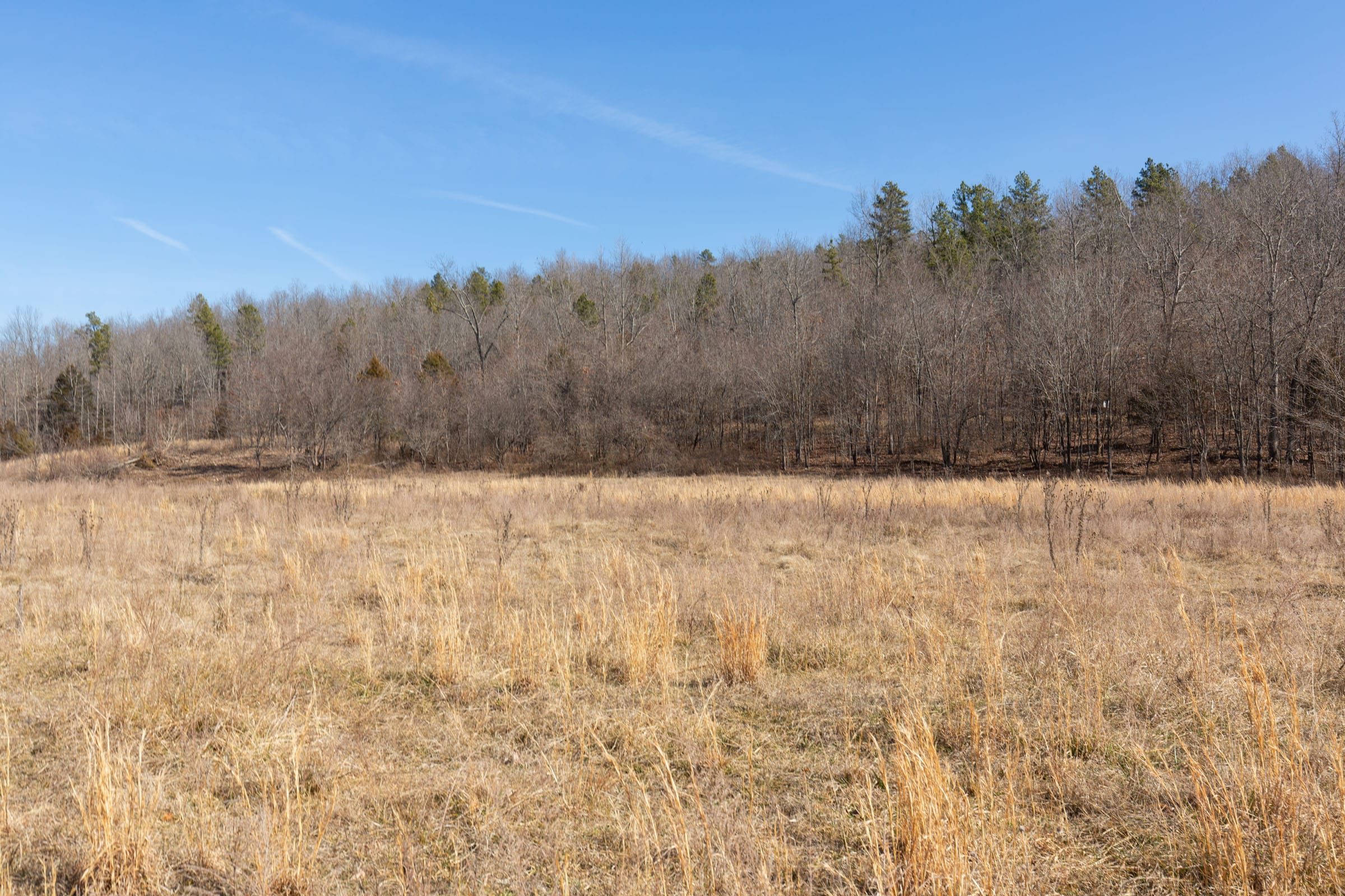 O’Connor Crossing Tract 25 photo 15