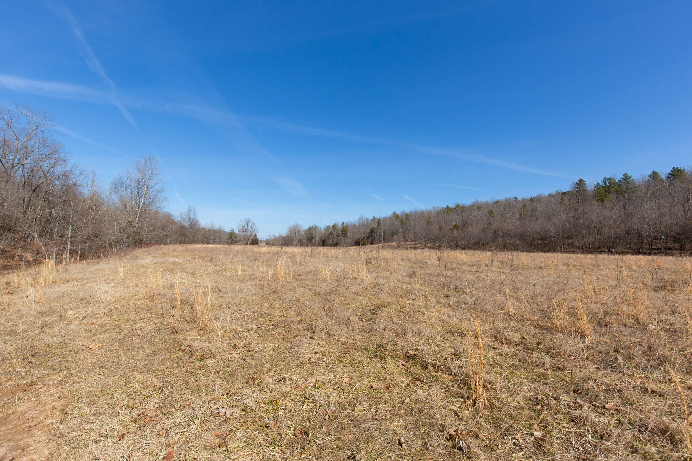 O’Connor Crossing Tract 25 photo 4