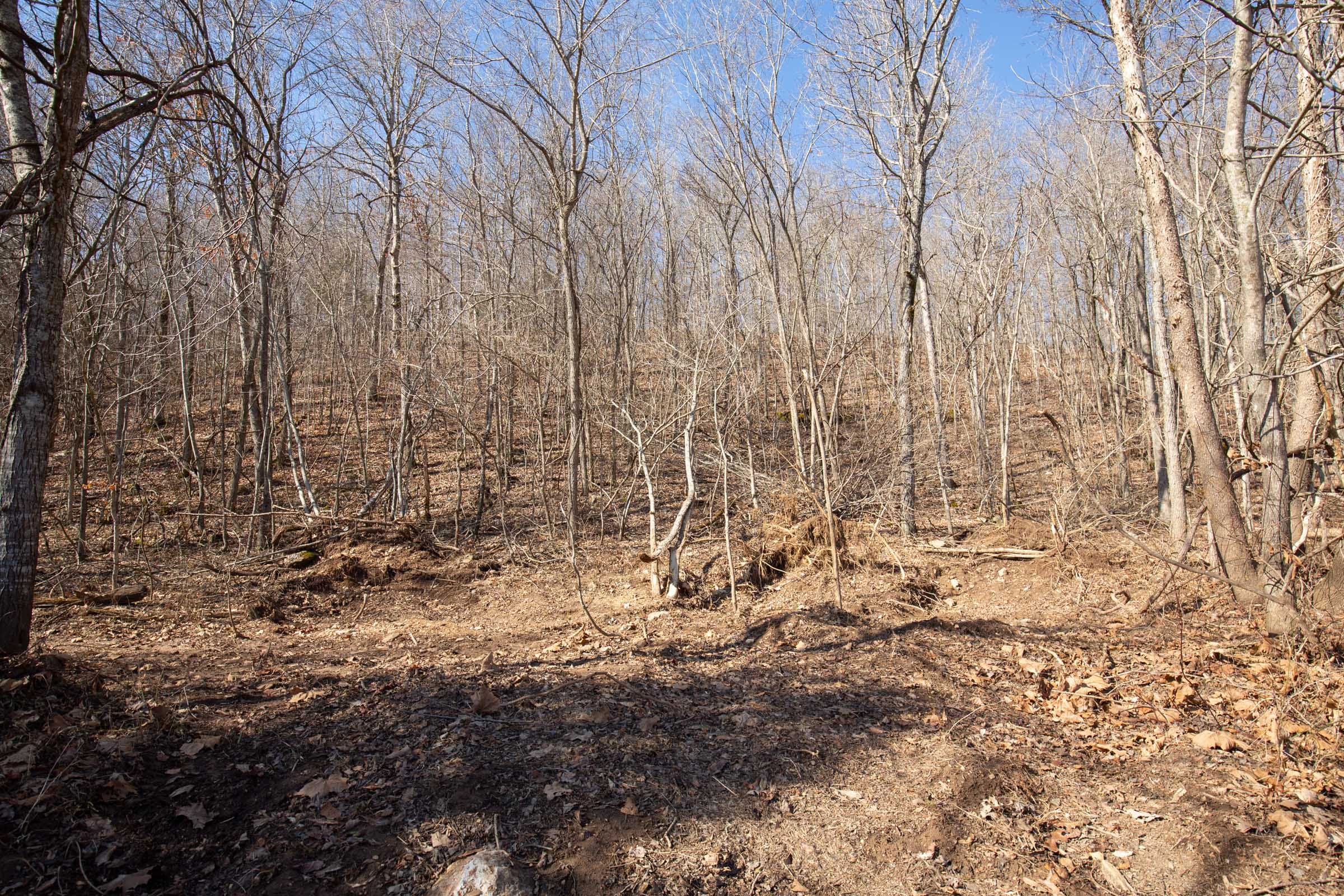O’Connor Crossing Tract 25 photo 14
