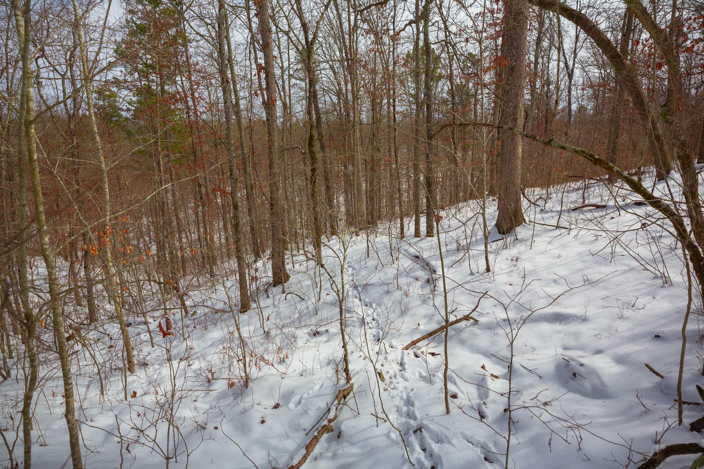 Sleepy Hollow Phase I Tract 23 photo 11