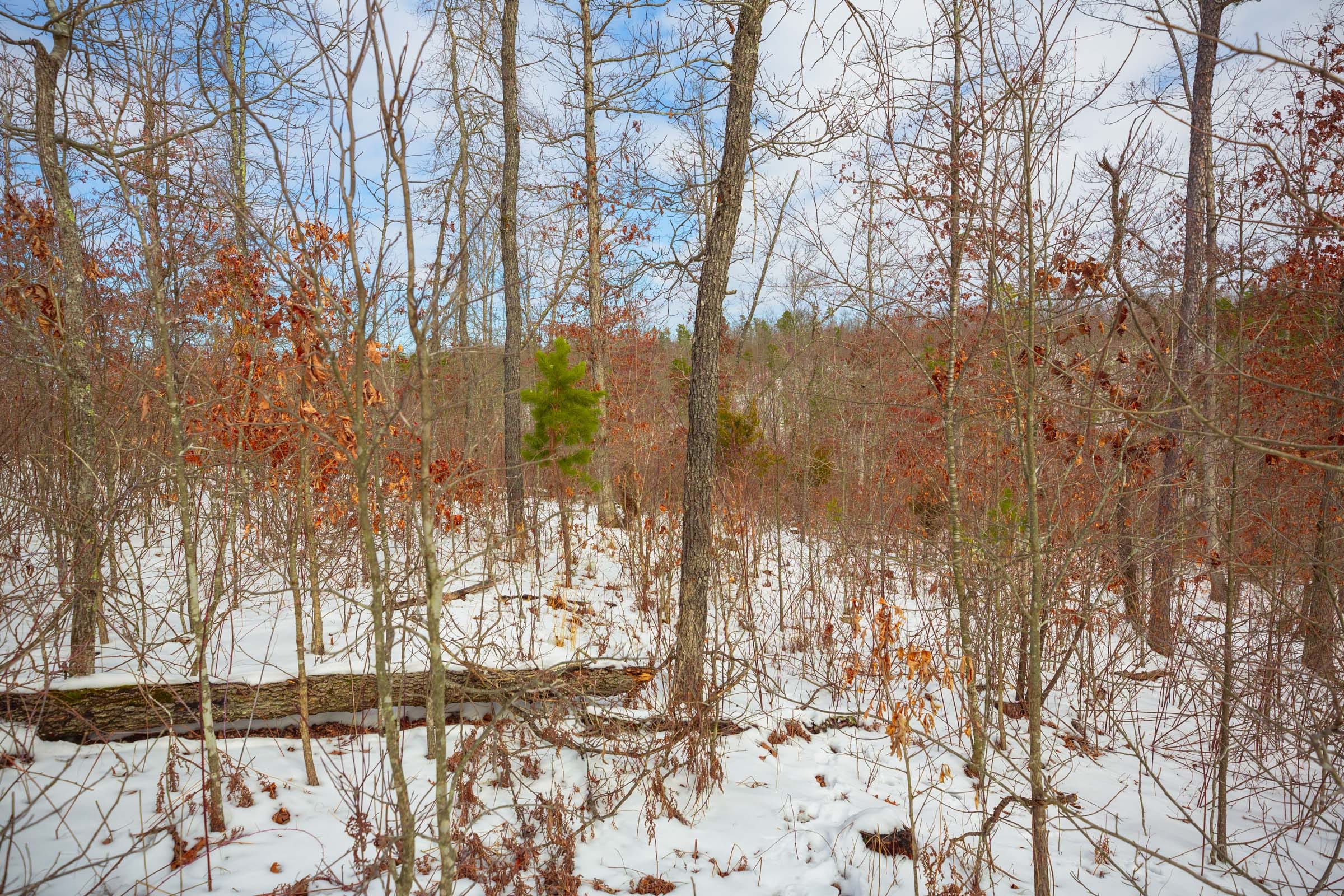 Sleepy Hollow Phase I Tract 23 photo 8