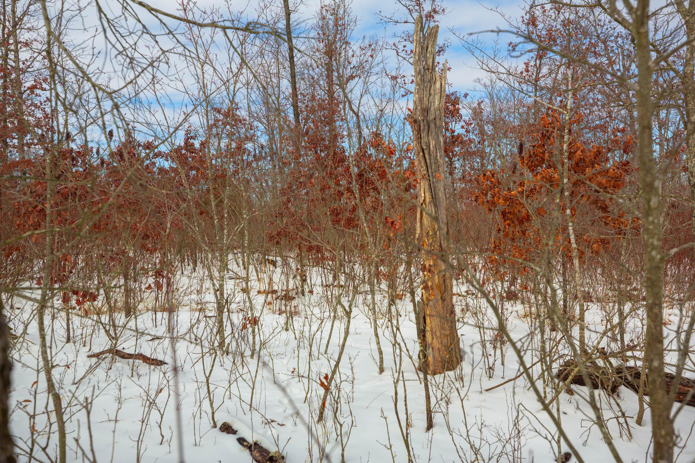 Sleepy Hollow Phase I Tract 23 photo 6