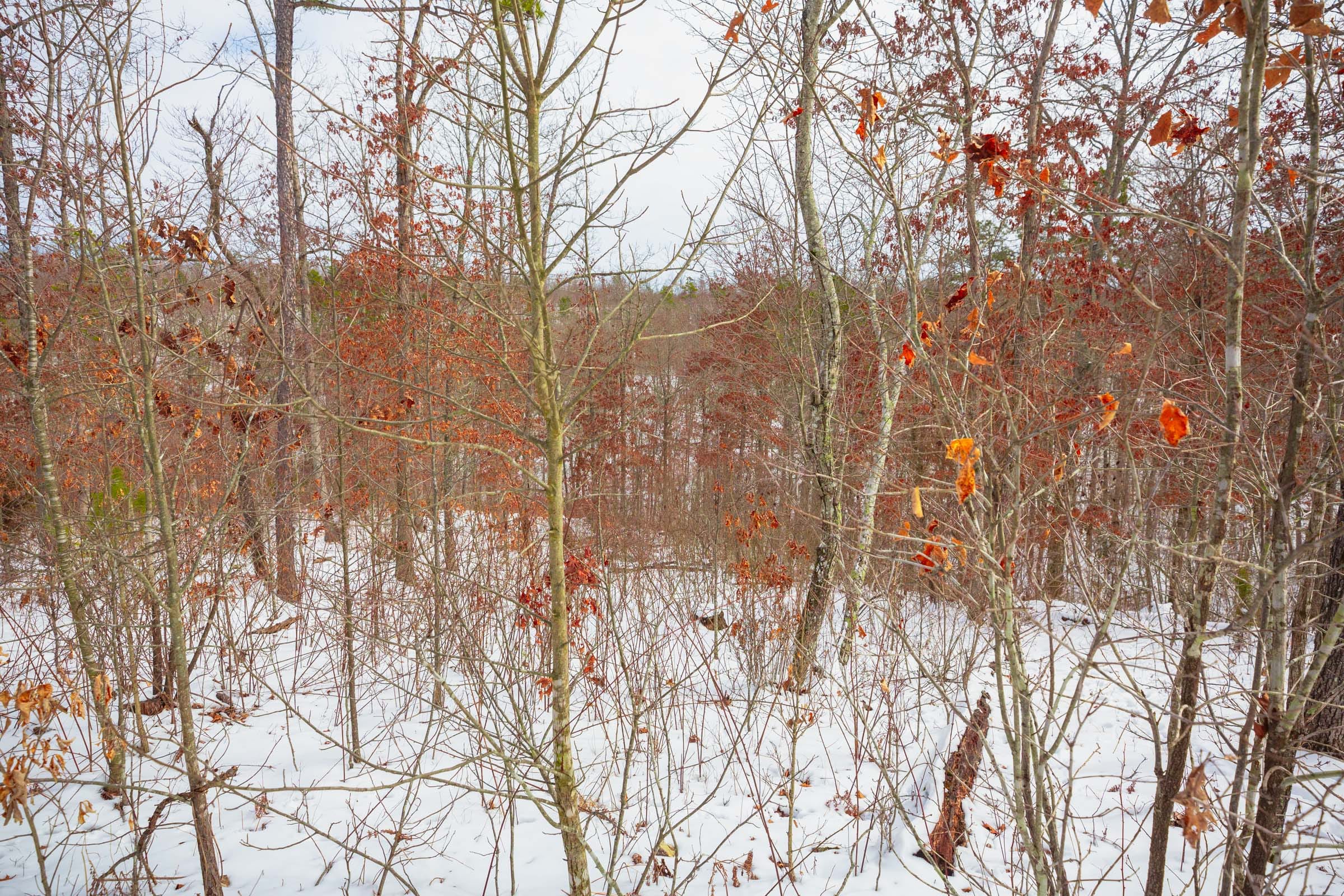 Sleepy Hollow Phase I Tract 23 photo 4