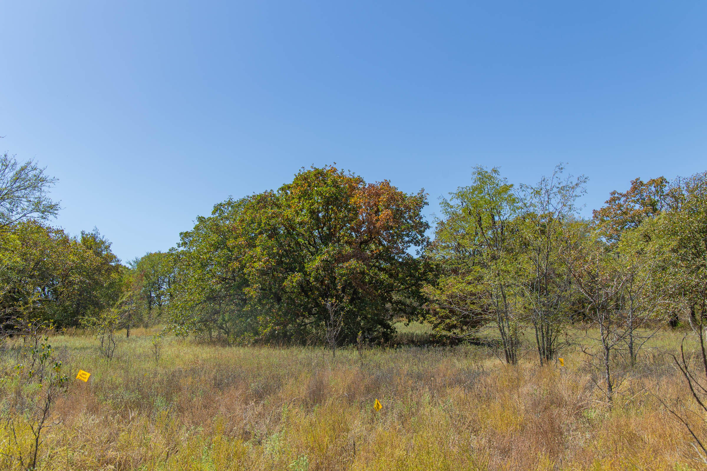 Gracyn Meadows Tract 3 photo 2