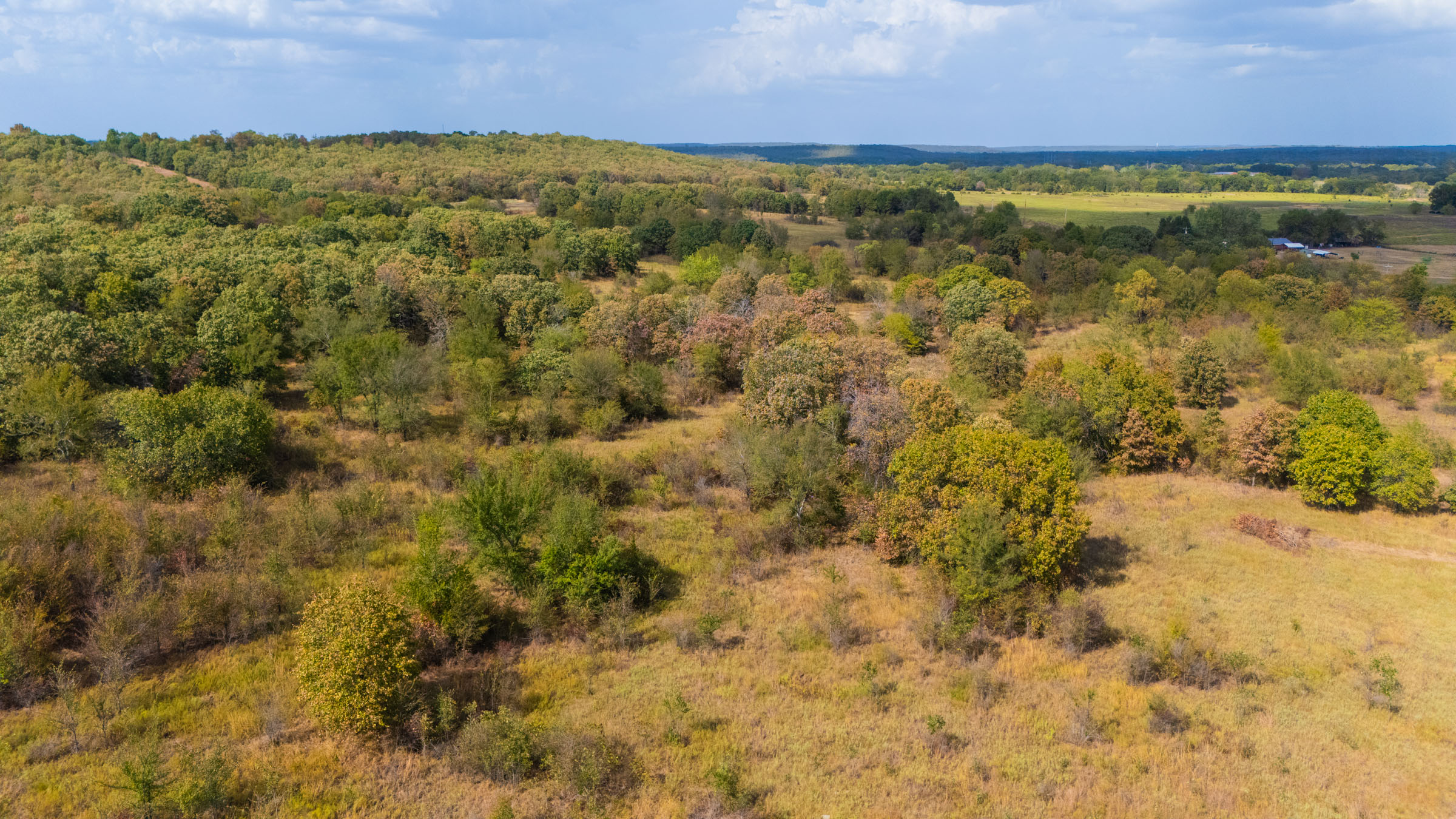 Gracyn Meadows Tract 3 photo 12
