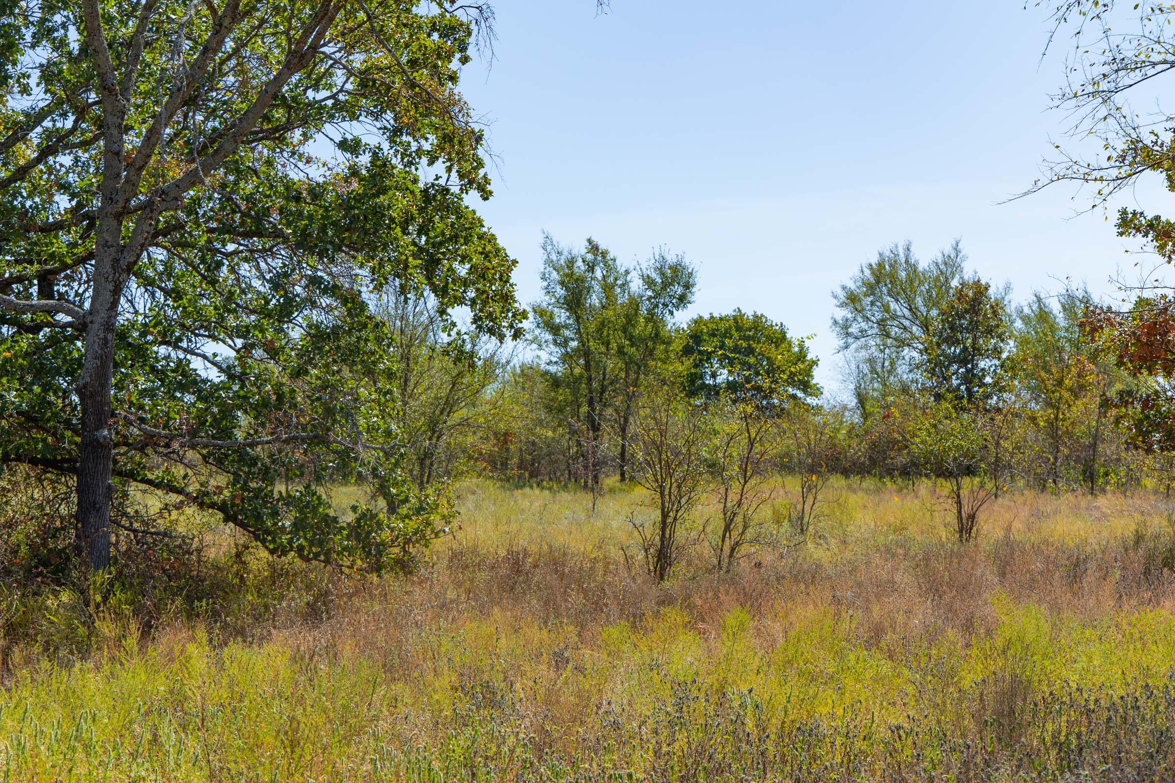 Gracyn Meadows Tract 3 photo 4