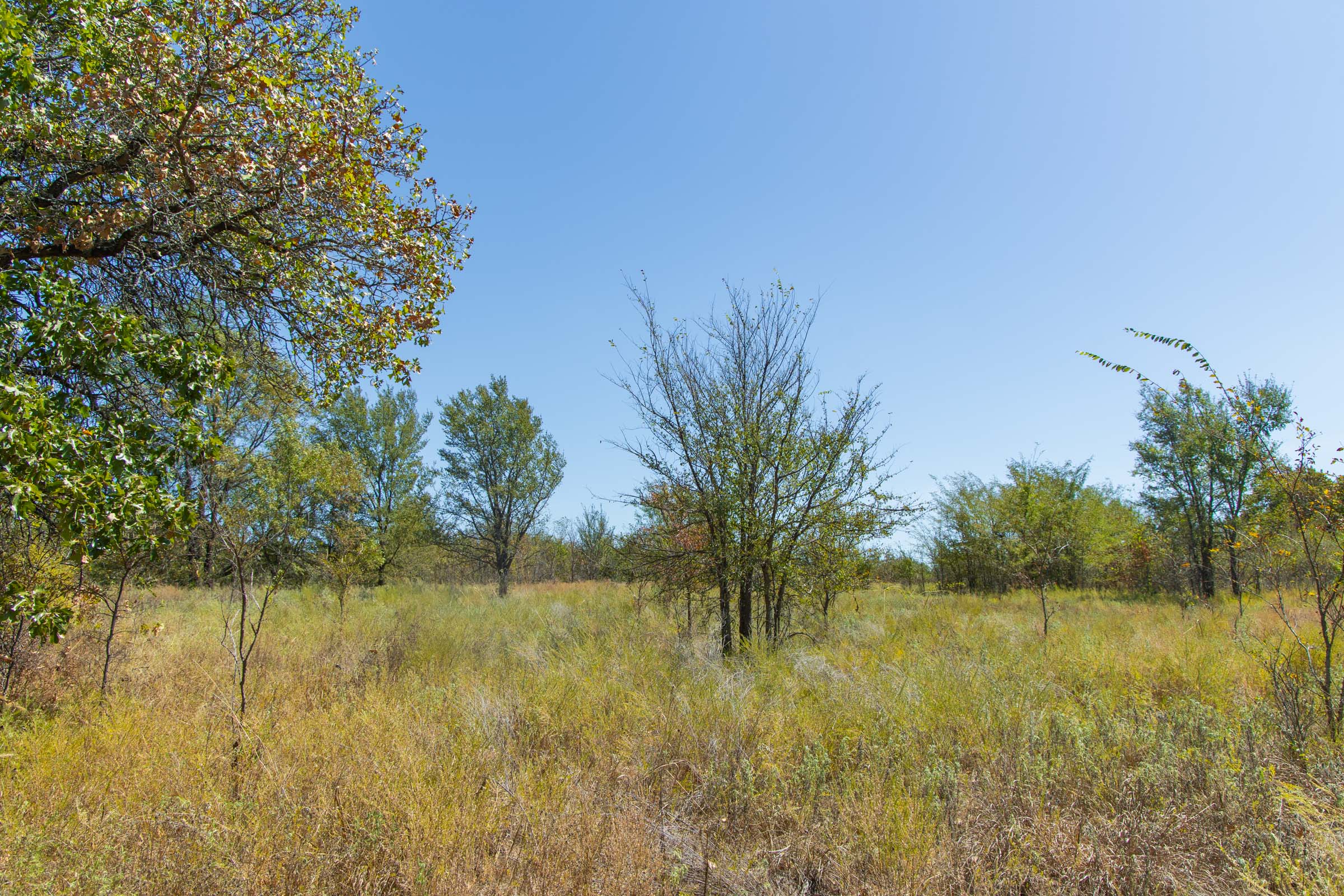 Gracyn Meadows Tract 3 photo 7
