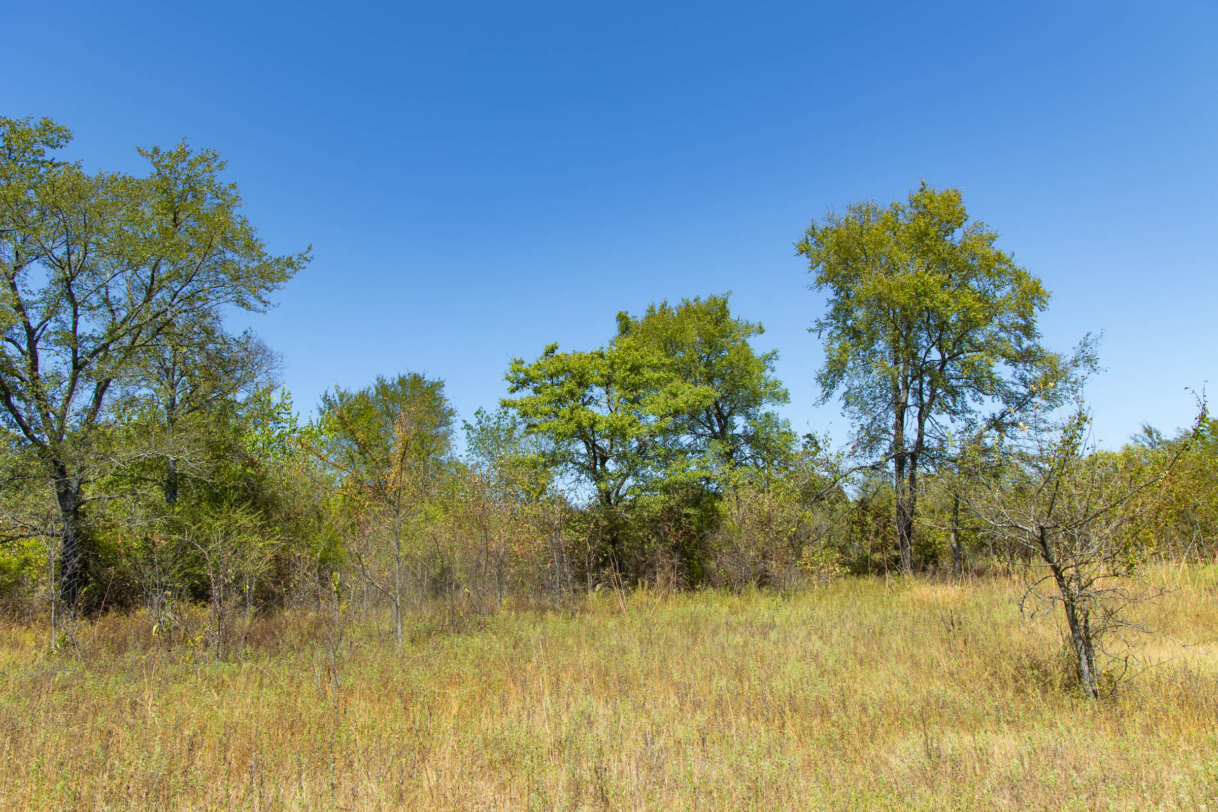 Gracyn Meadows Tract 3 photo 6