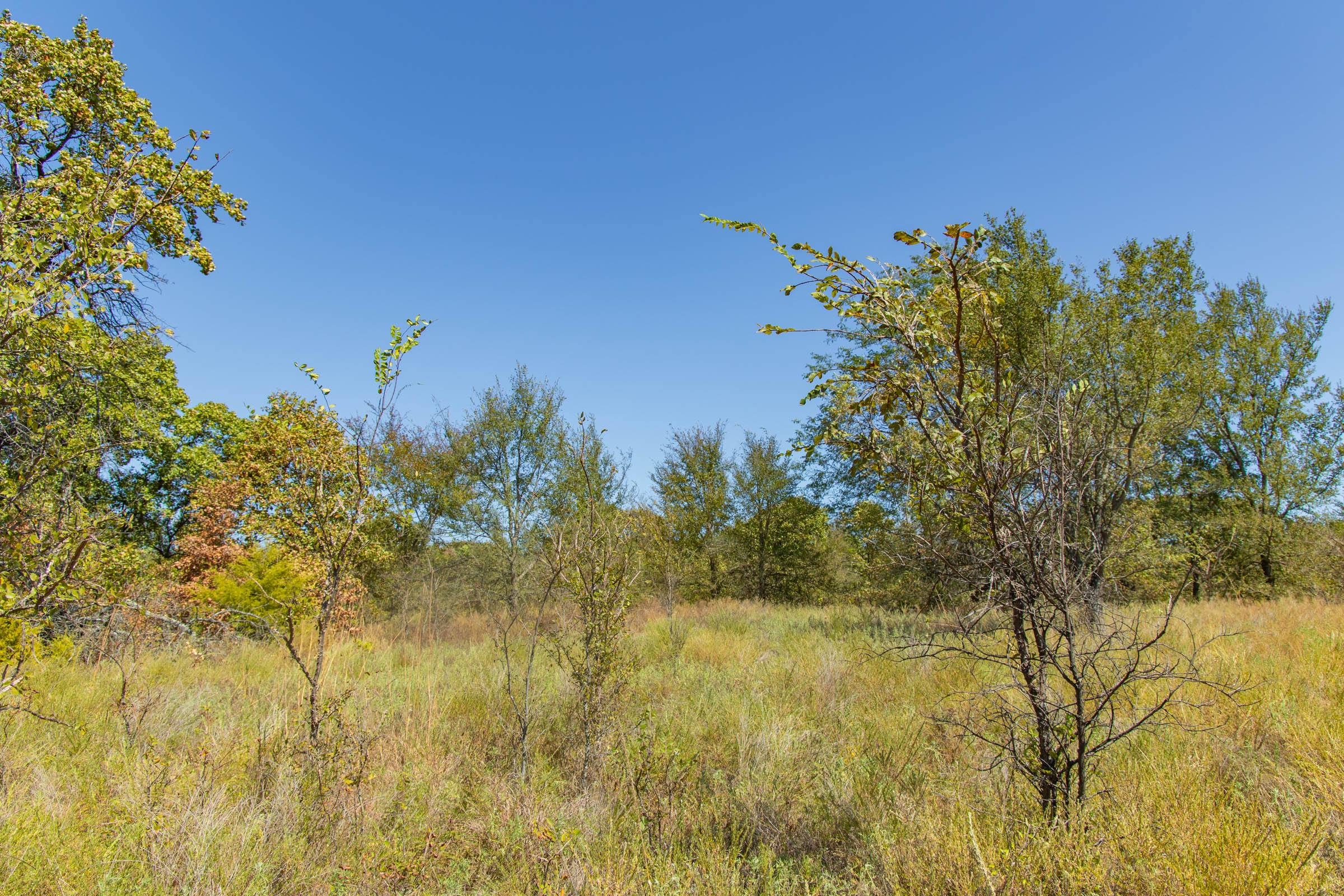 Gracyn Meadows Tract 3 photo 9