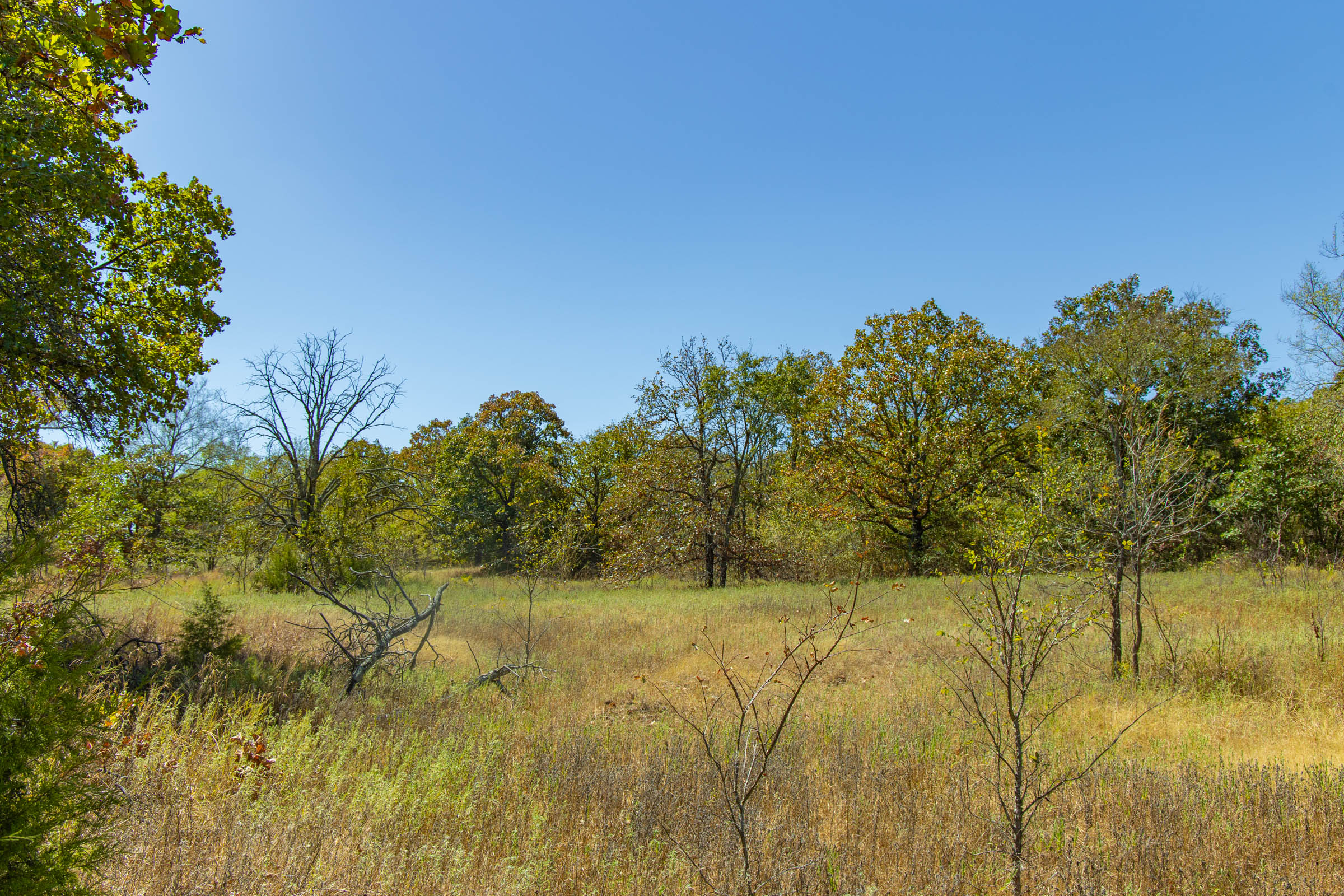 Gracyn Meadows Tract 3 photo 1
