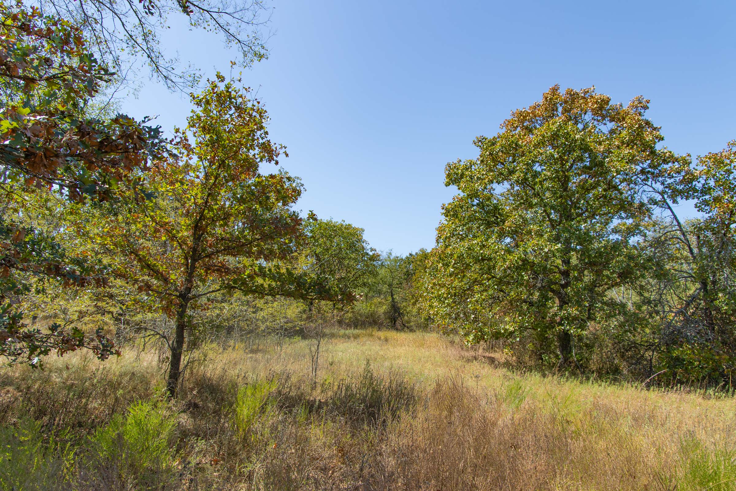 Gracyn Meadows Tract 3 photo 3