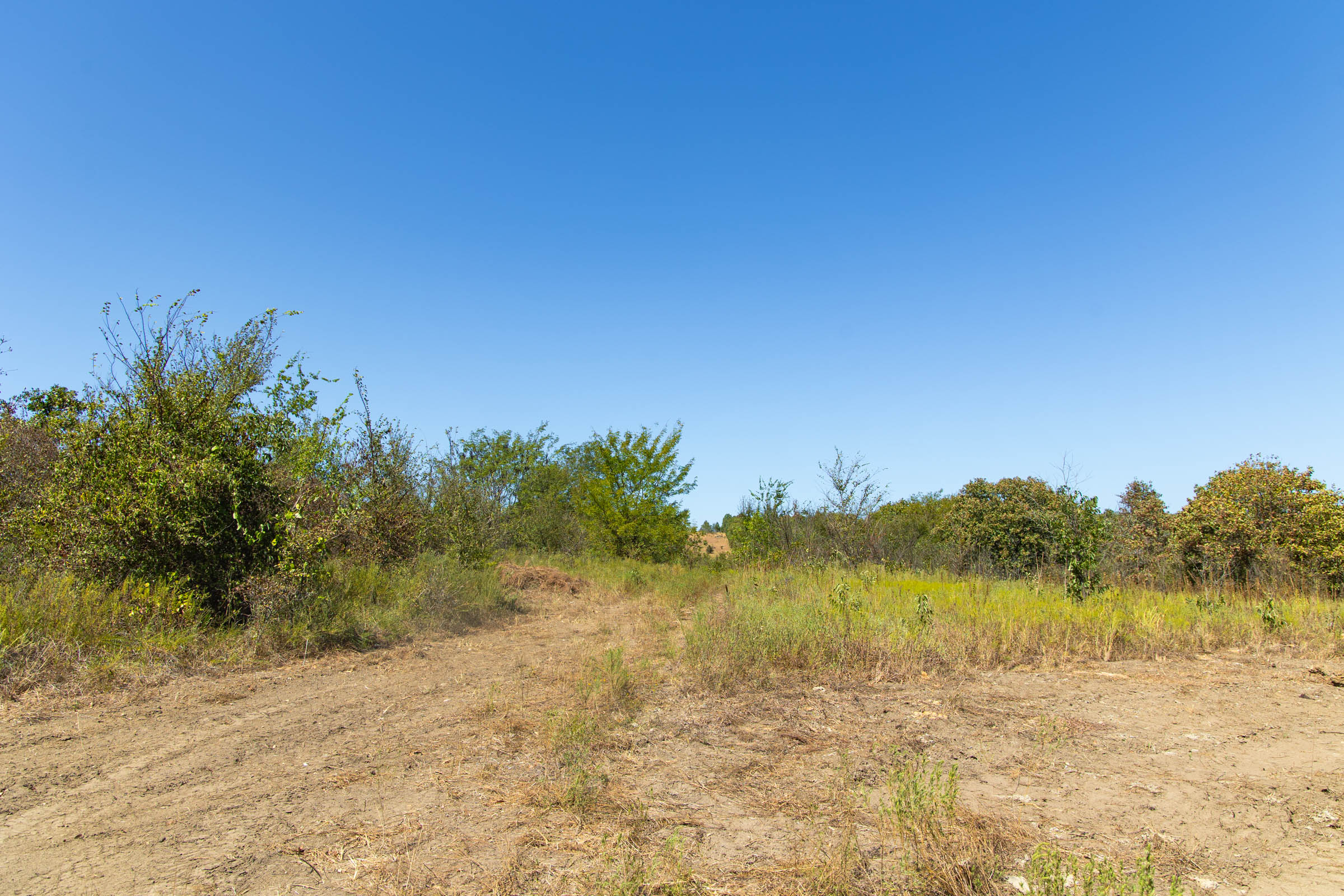 Gracyn Meadows Tract 3 photo 13