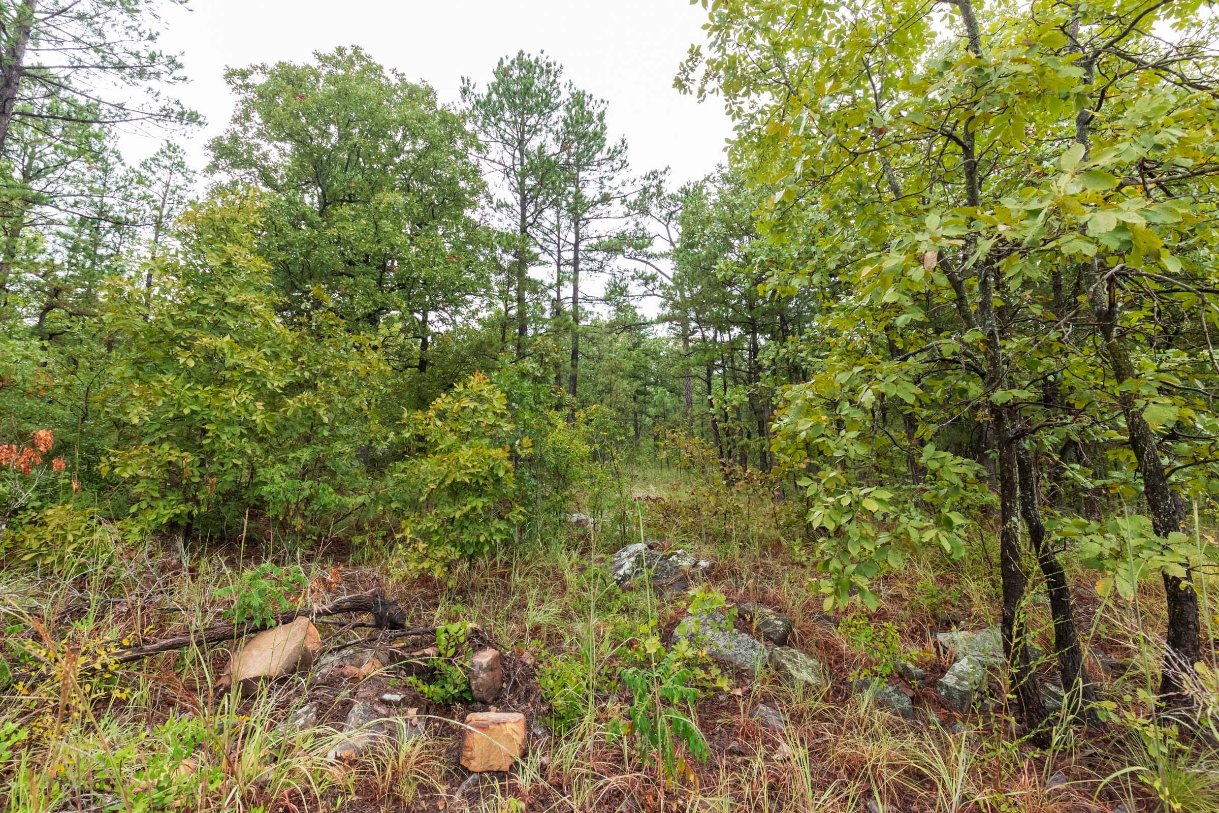 Stone Bridge Phase V Tract 357 photo 4