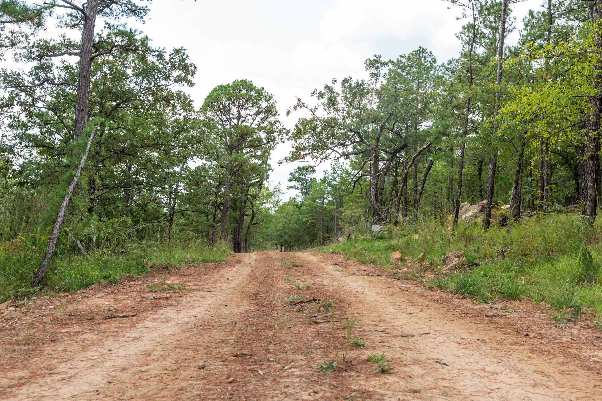 Stone Bridge Phase V Tract 357 photo 16