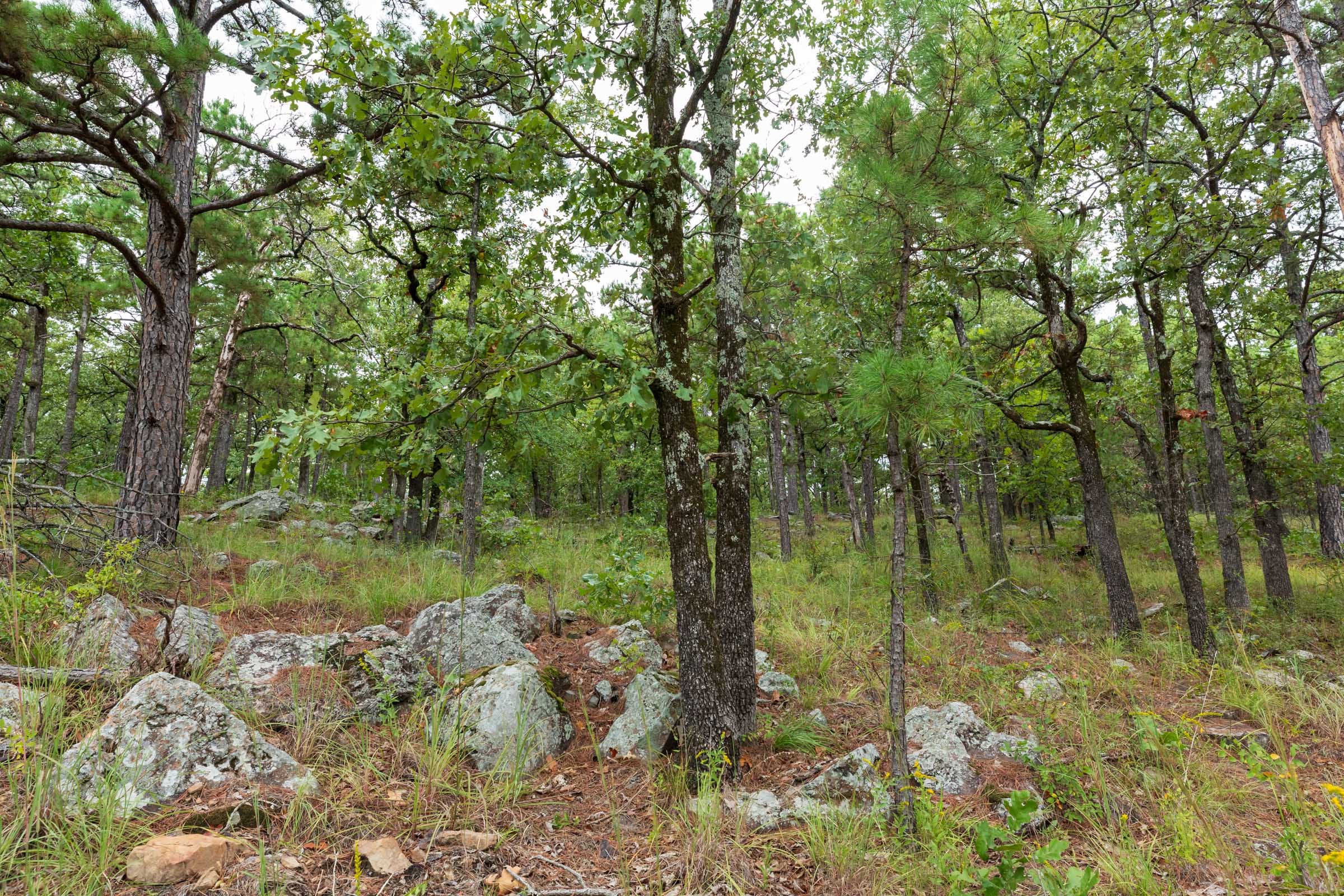 Stone Bridge Phase V Tract 357 photo 18