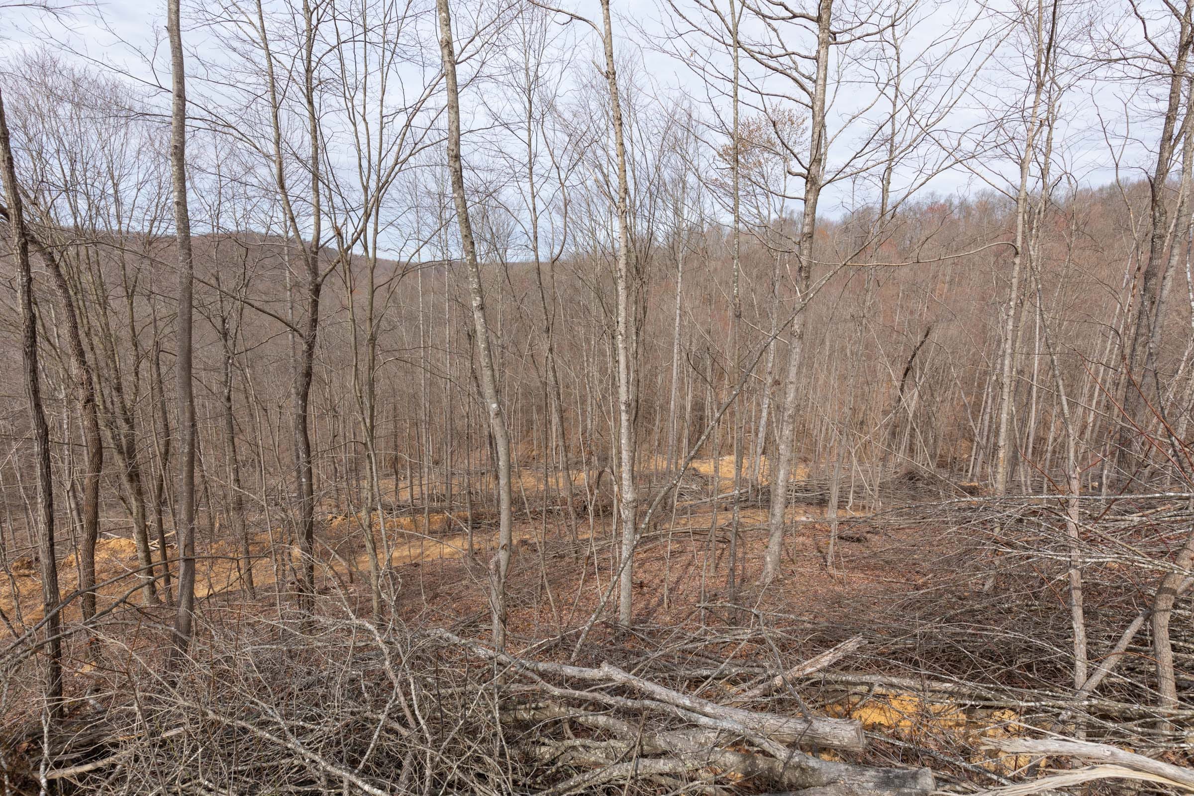 Creek Hollow Phase I Tract 3 photo 2