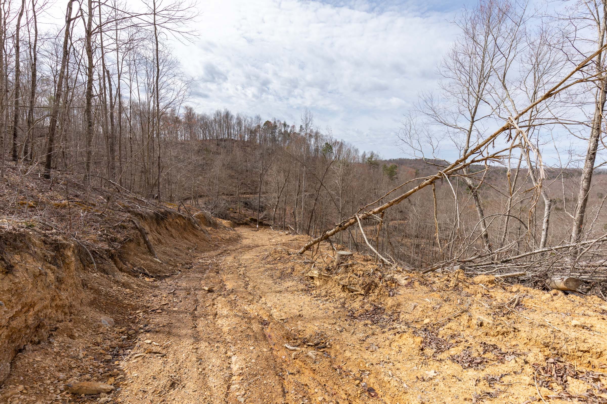 Creek Hollow Phase I Tract 3 photo 1