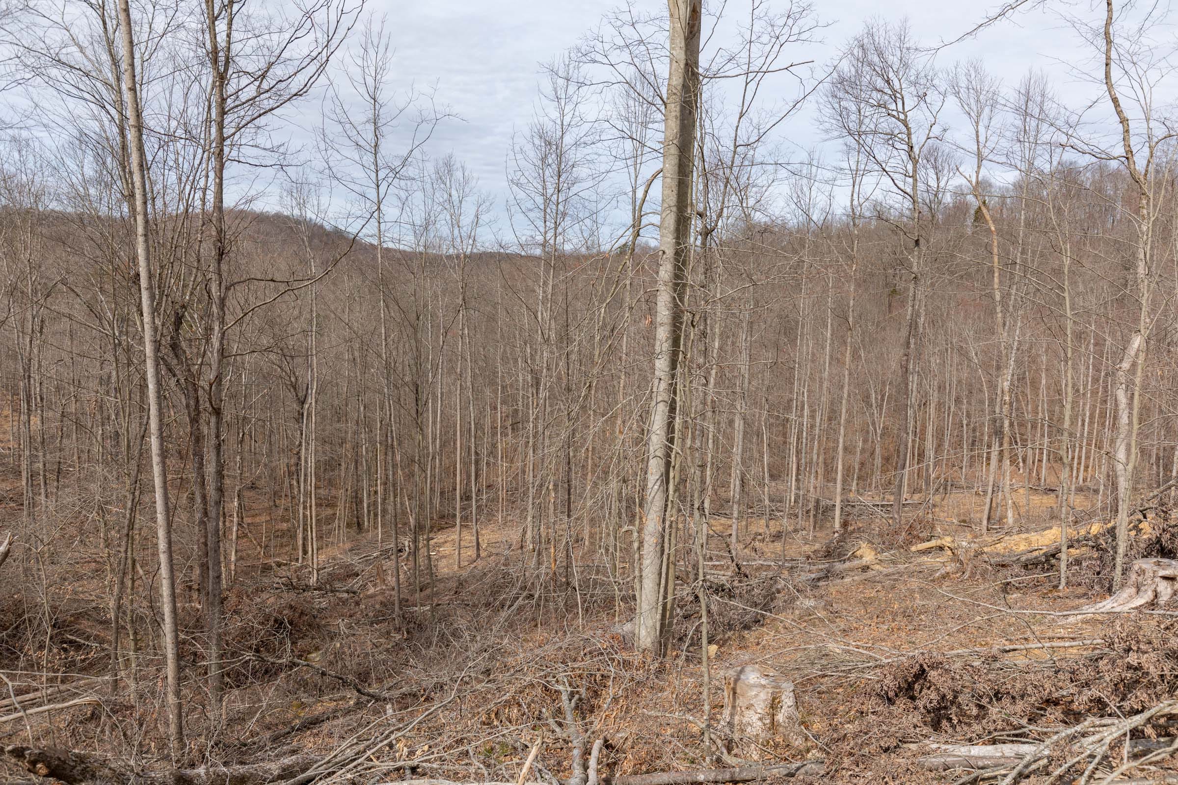 Creek Hollow Phase I Tract 3 photo 6