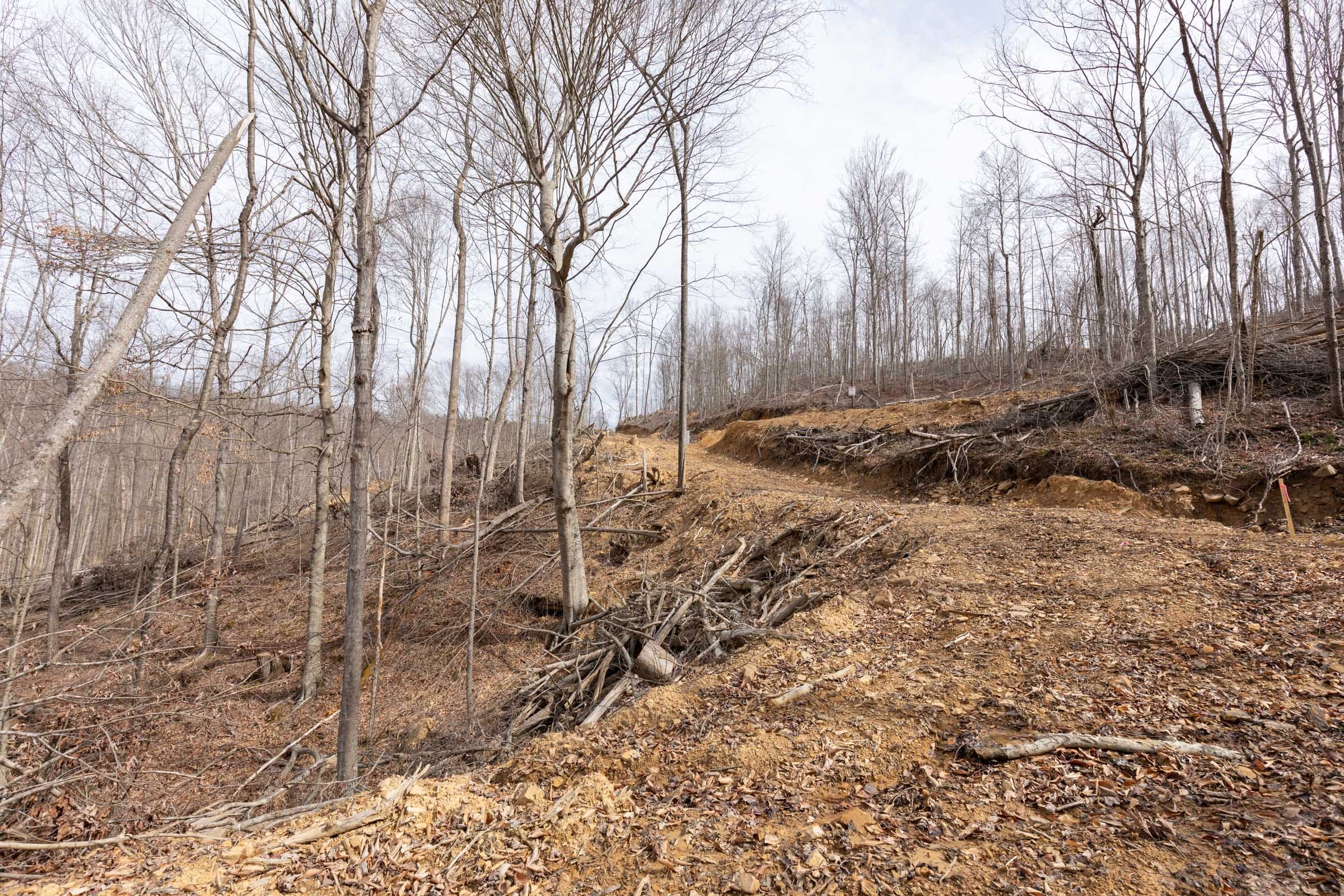 Creek Hollow Phase I Tract 3 photo 7