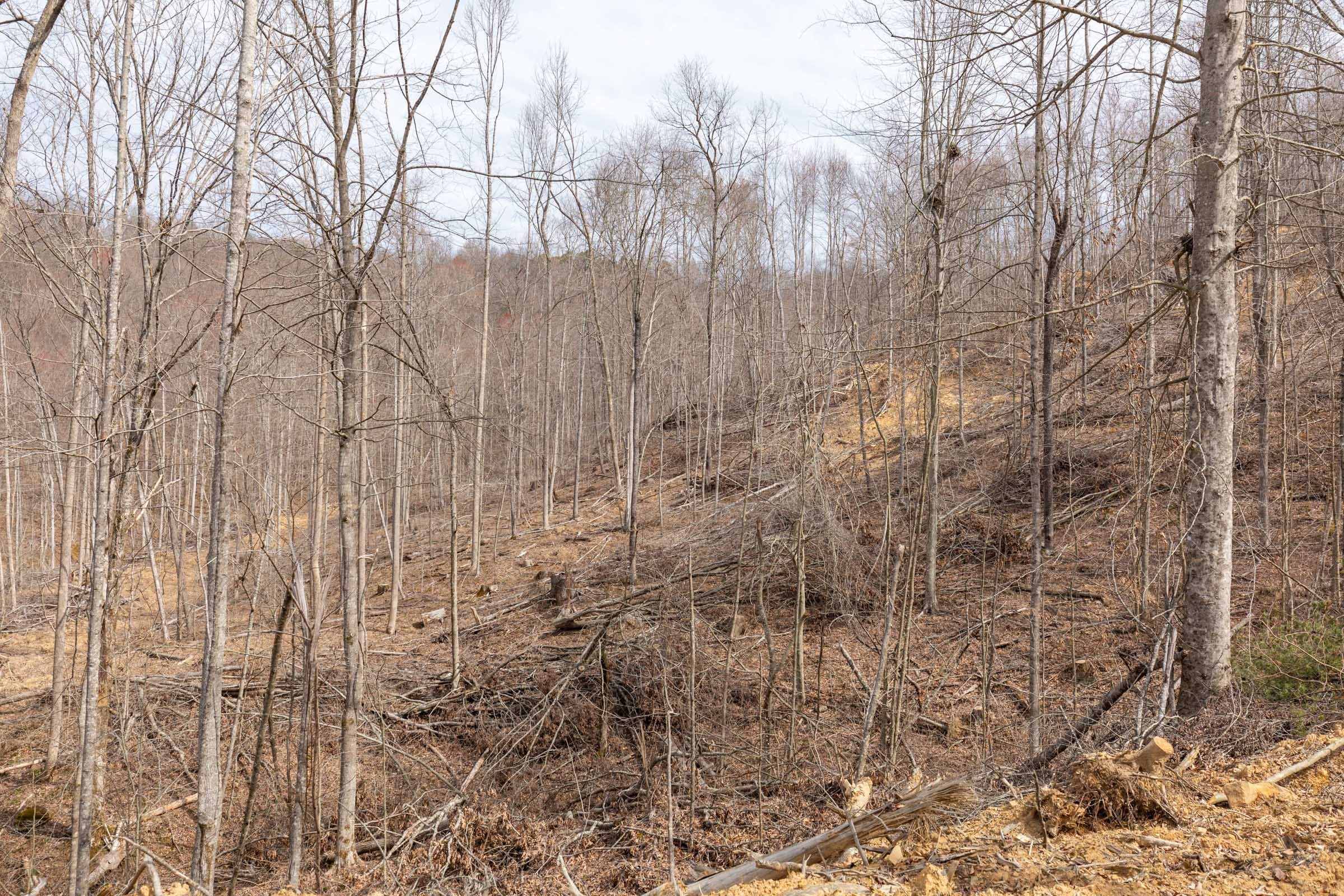 Creek Hollow Phase I Tract 3 photo 8