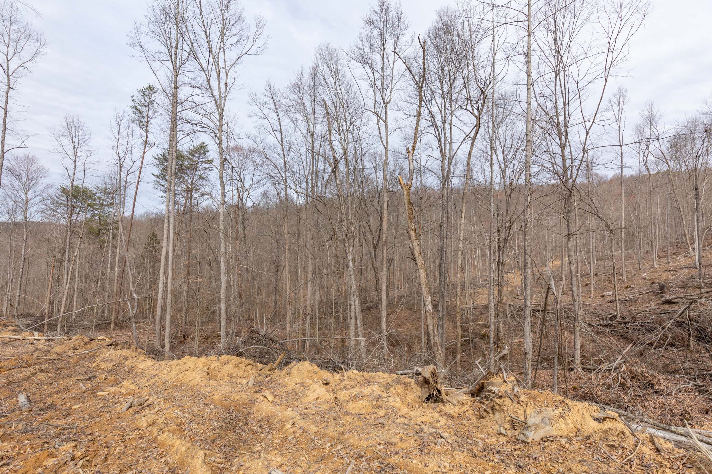 Creek Hollow Phase I Tract 3 photo 9