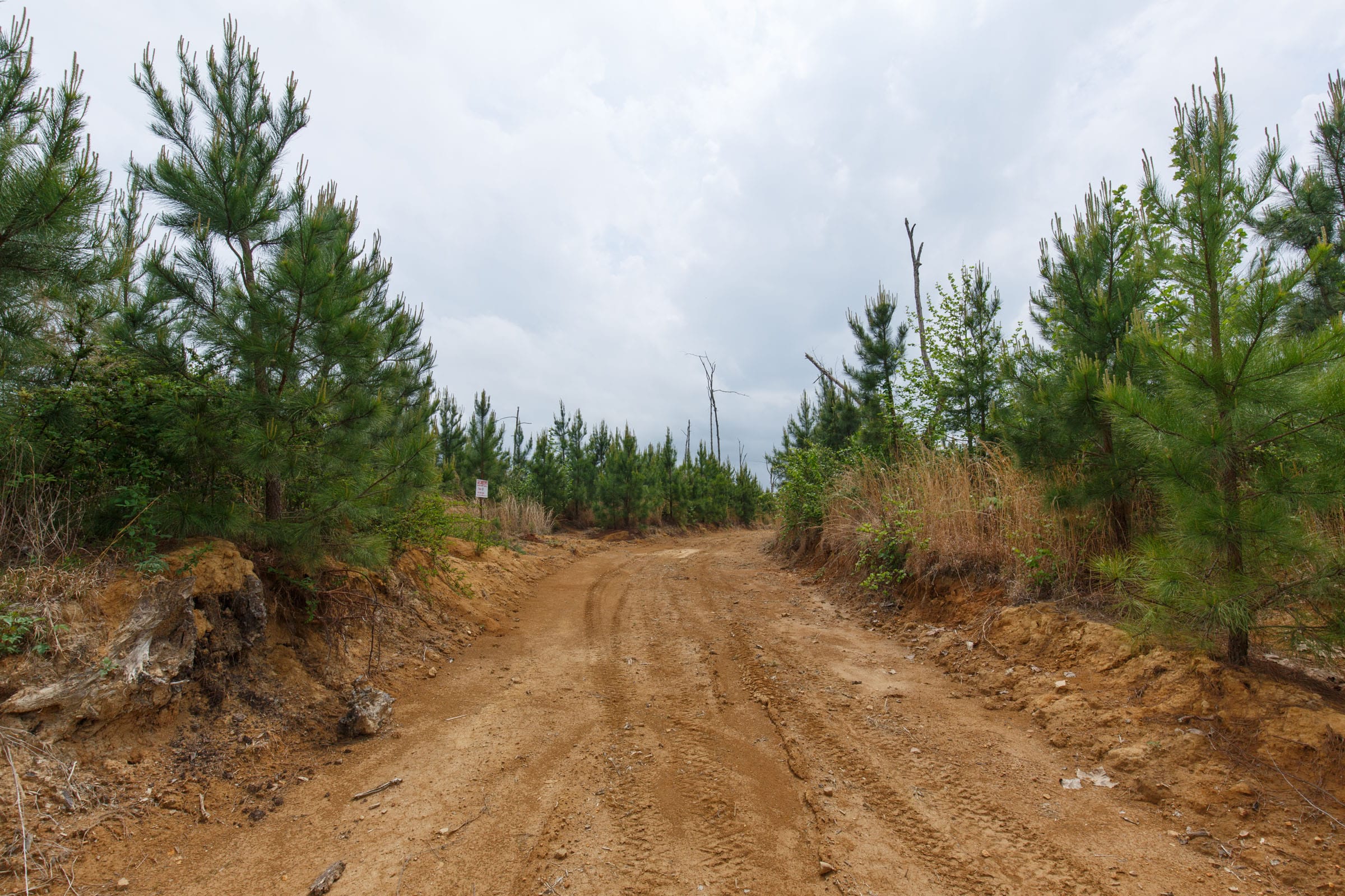 Red Barn Ranch Tract 49 photo 1
