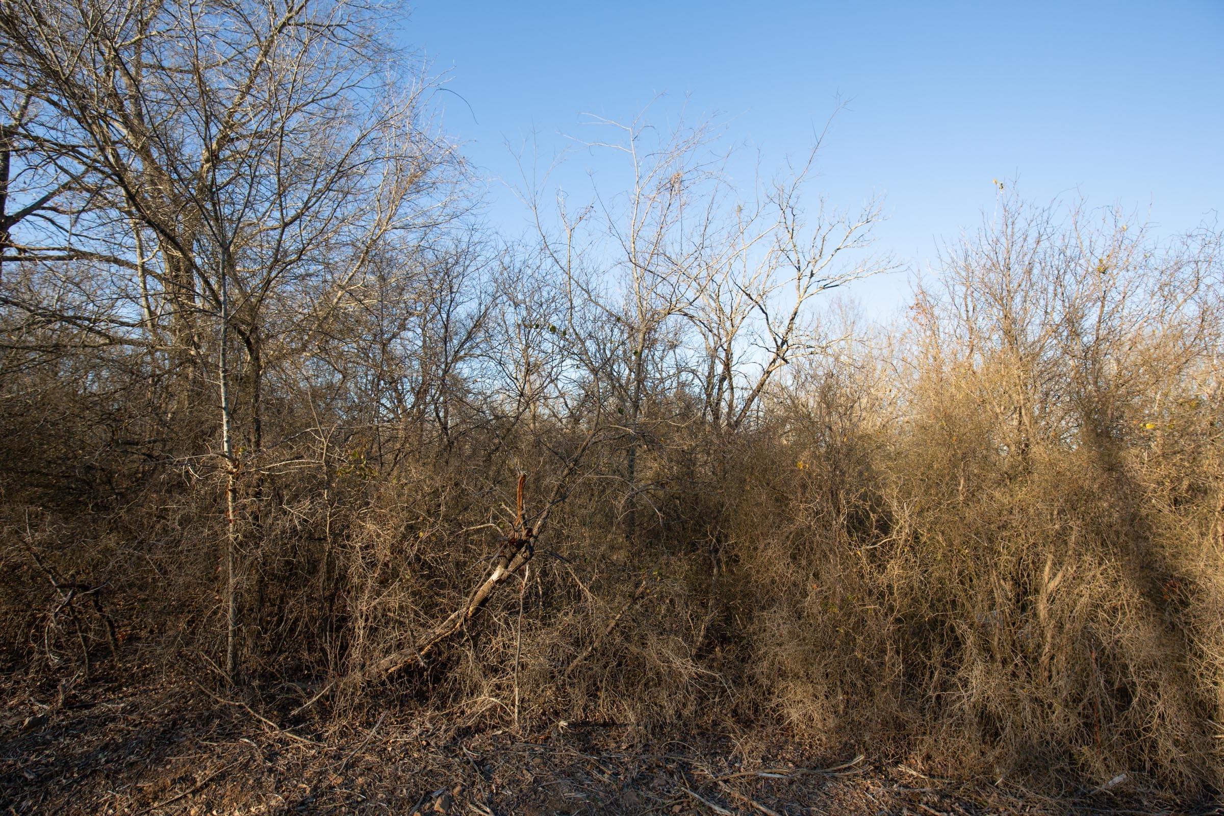 Painted Horse Tract 45 photo 5