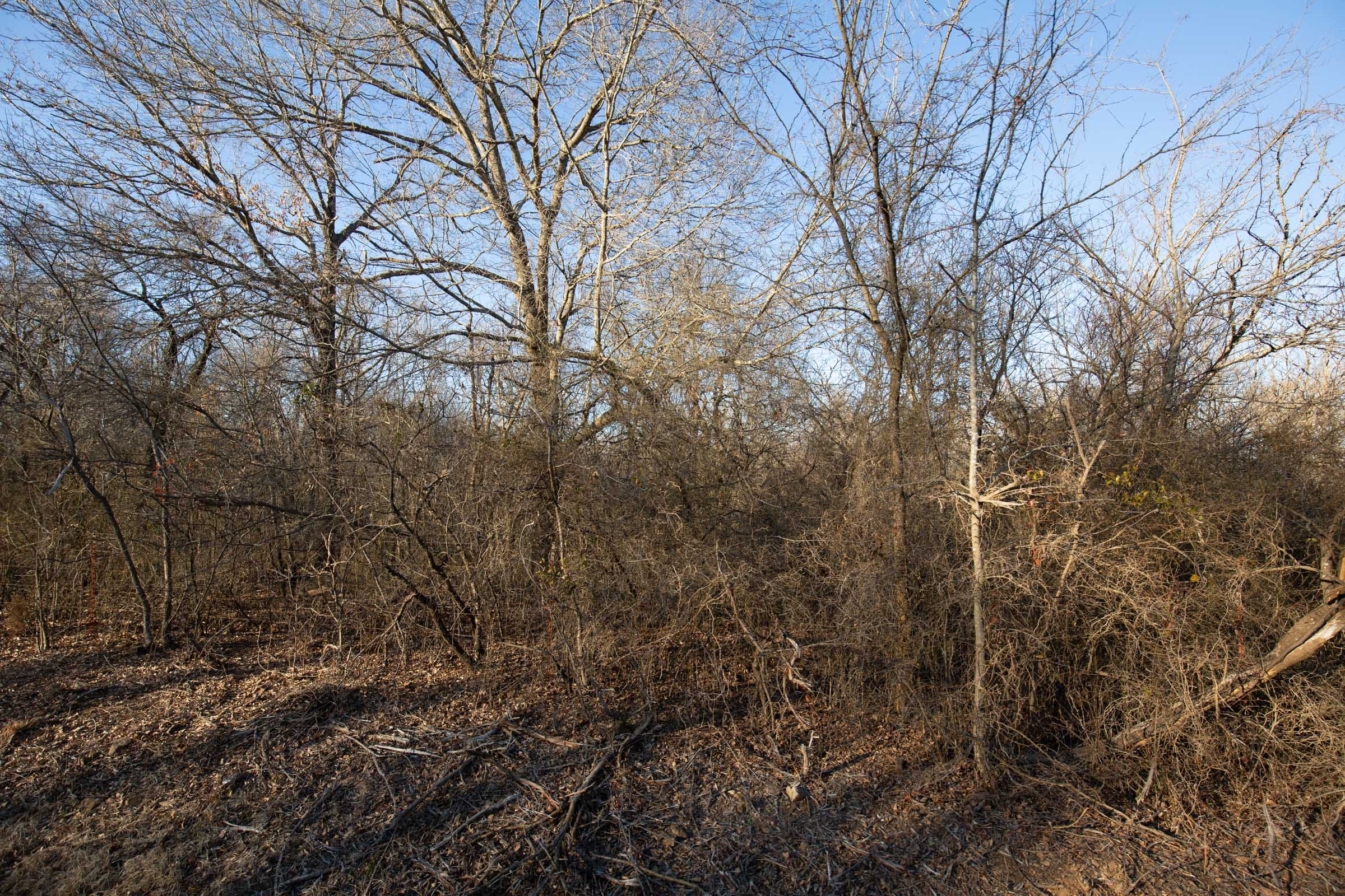 Painted Horse Tract 45 photo 6
