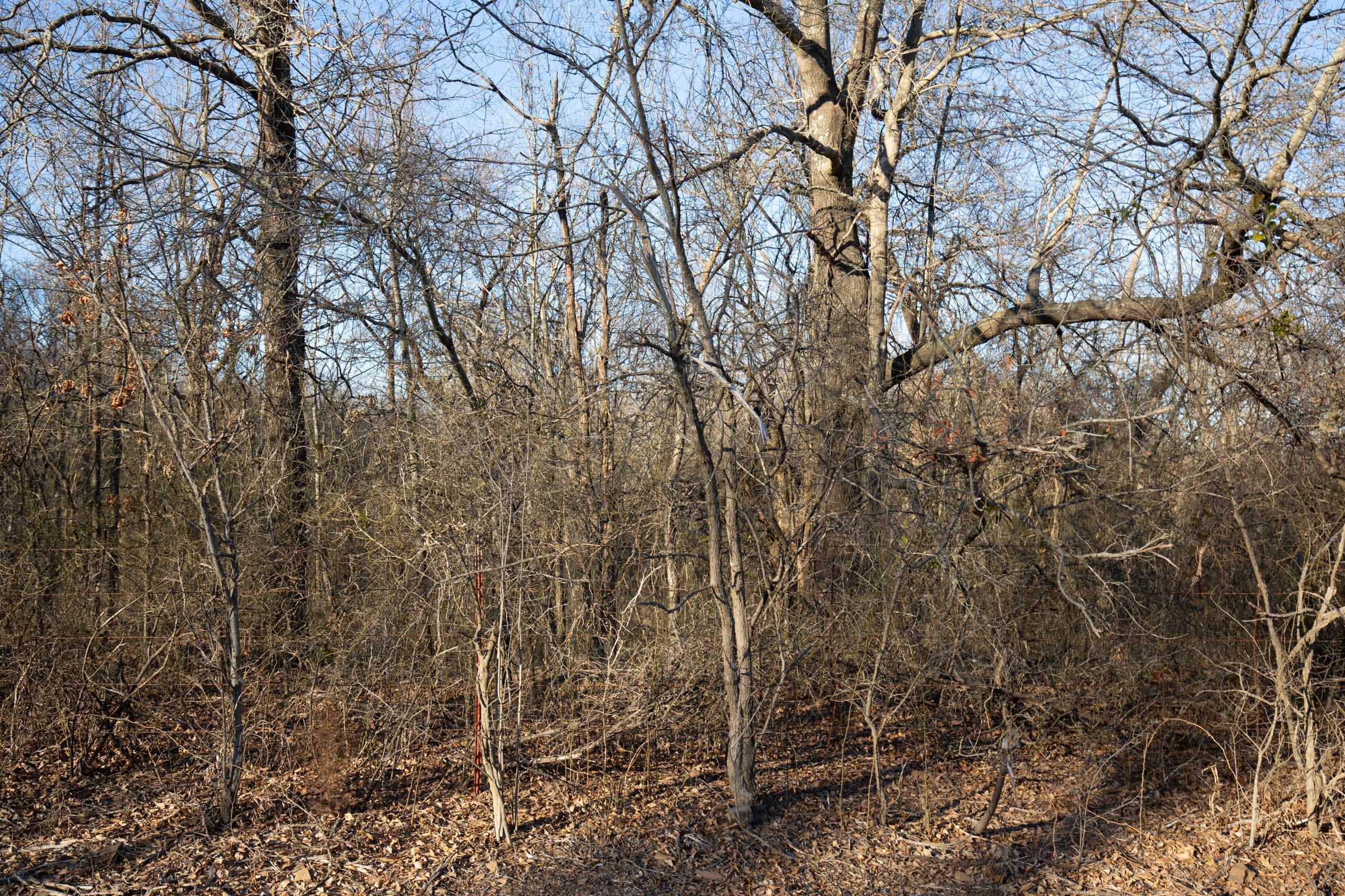 Painted Horse Tract 45 photo 7