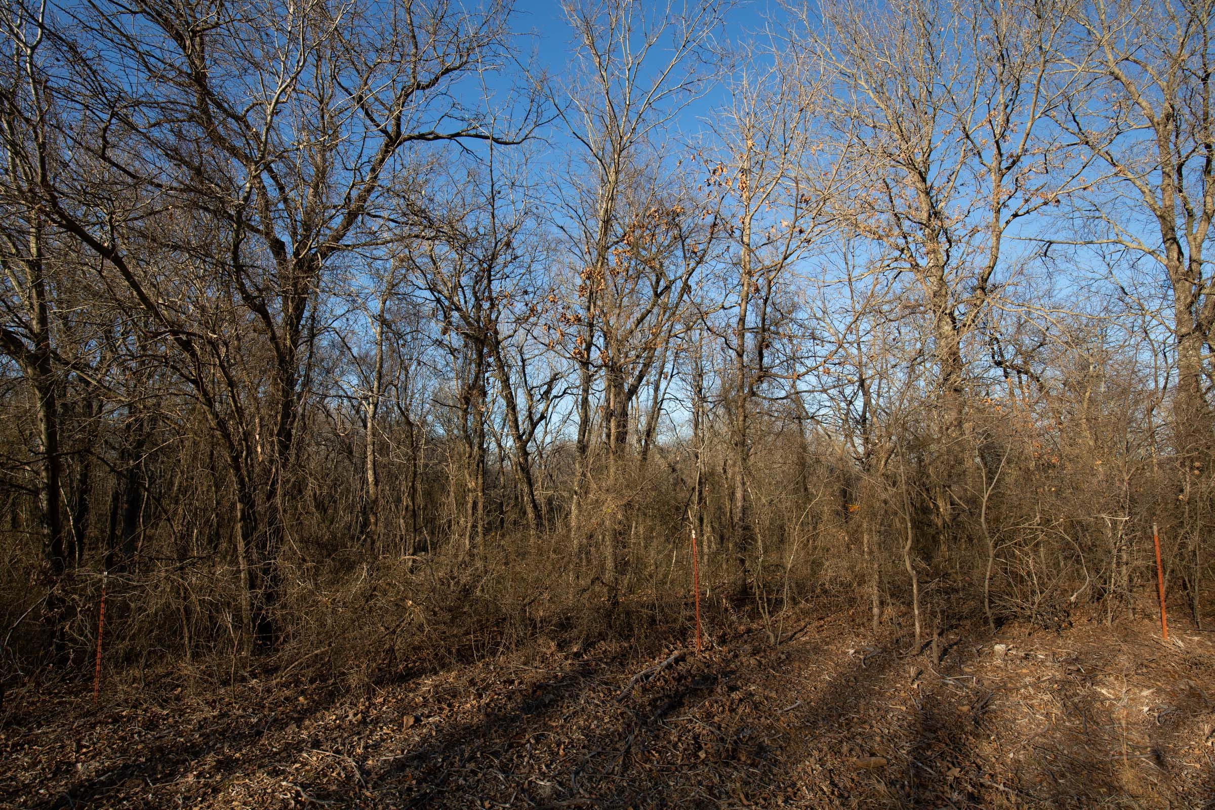 Painted Horse Tract 45 photo 9