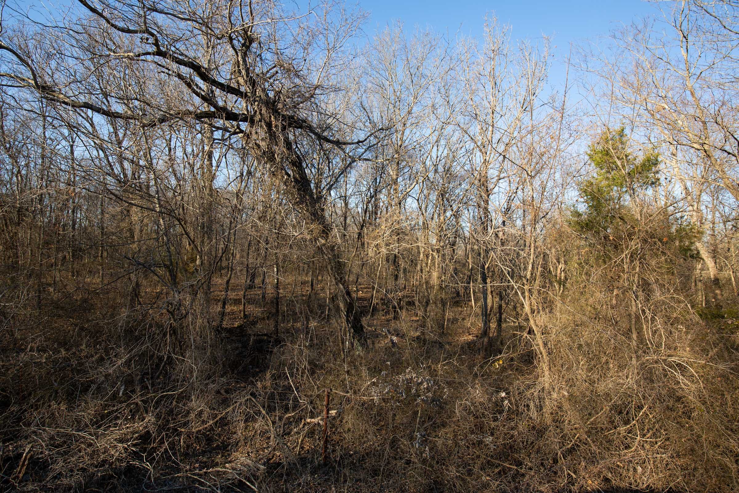Painted Horse Tract 45 photo 10