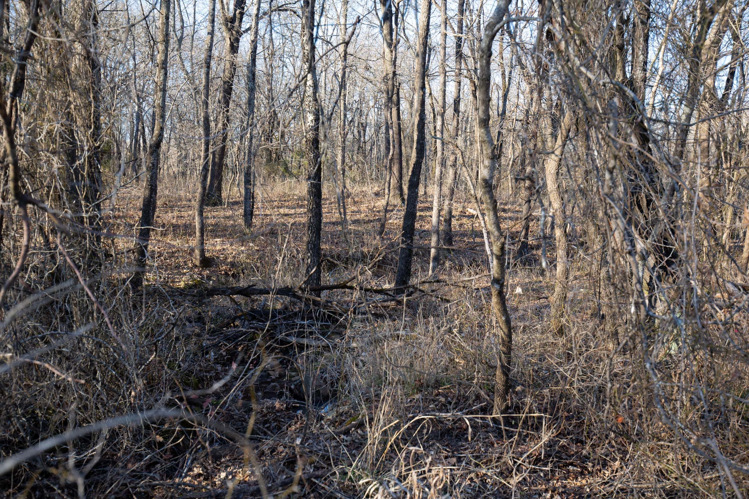 Painted Horse Tract 45 photo 11
