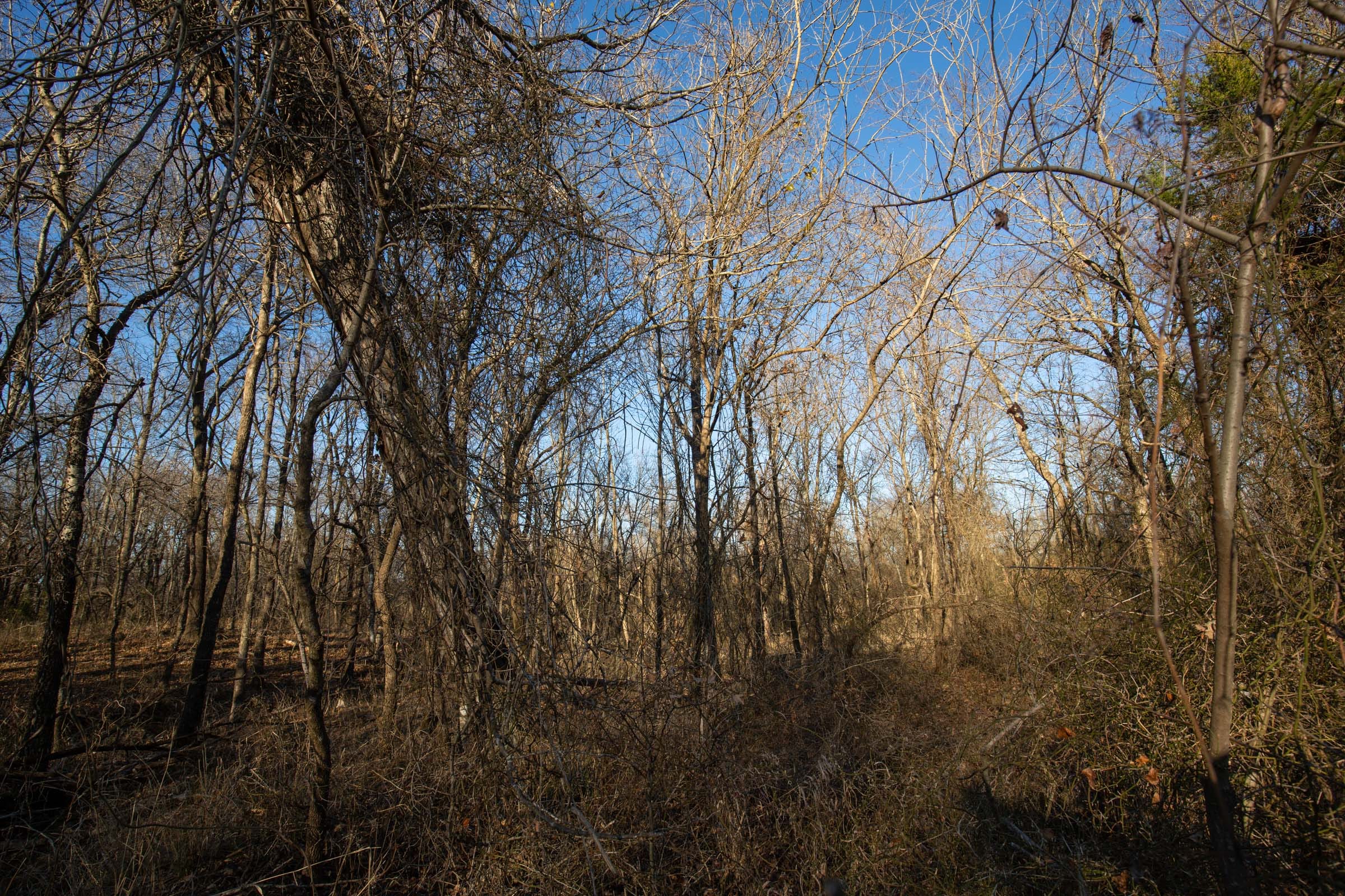 Painted Horse Tract 45 photo 12