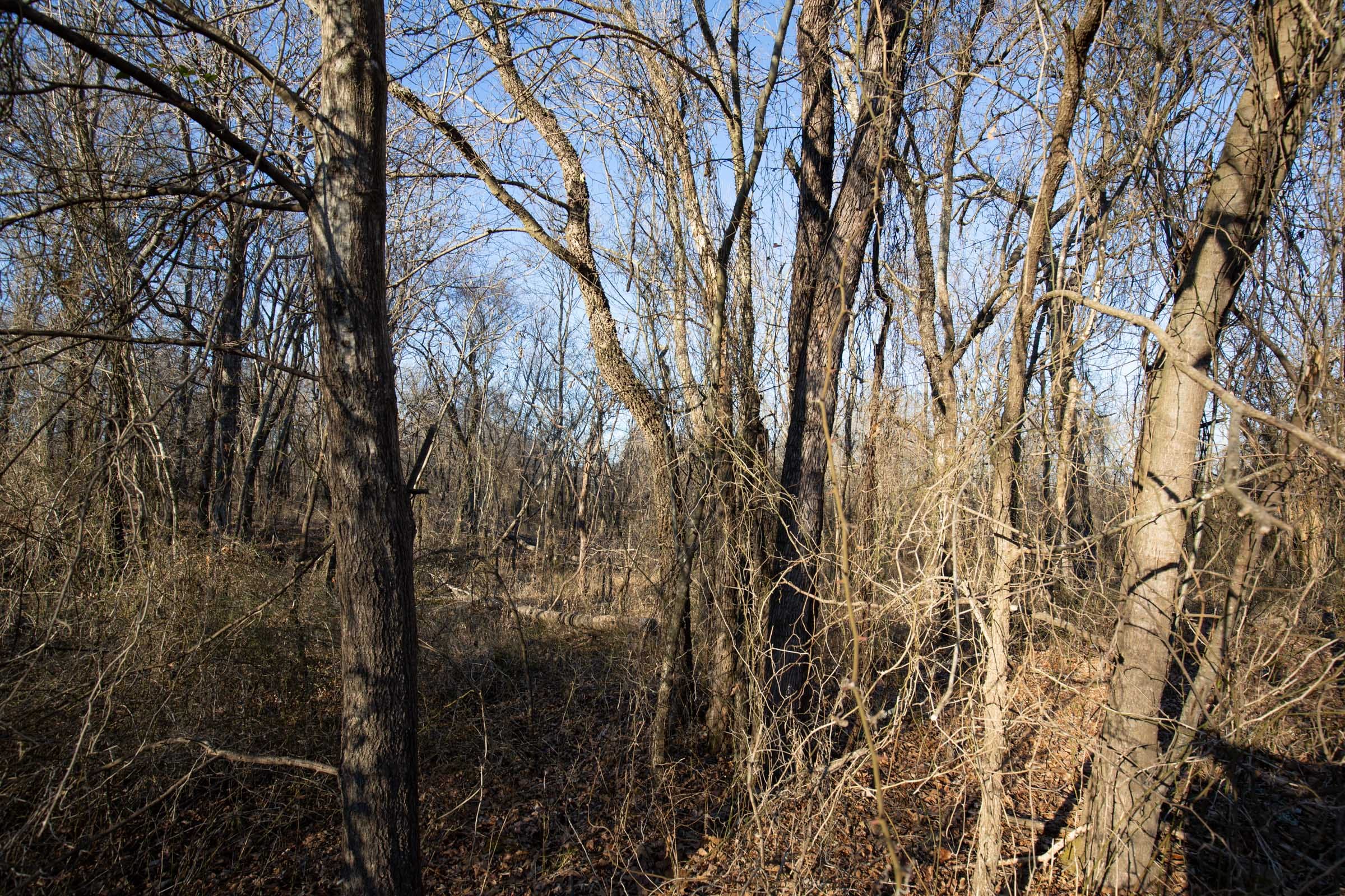 Painted Horse Tract 45 photo 13