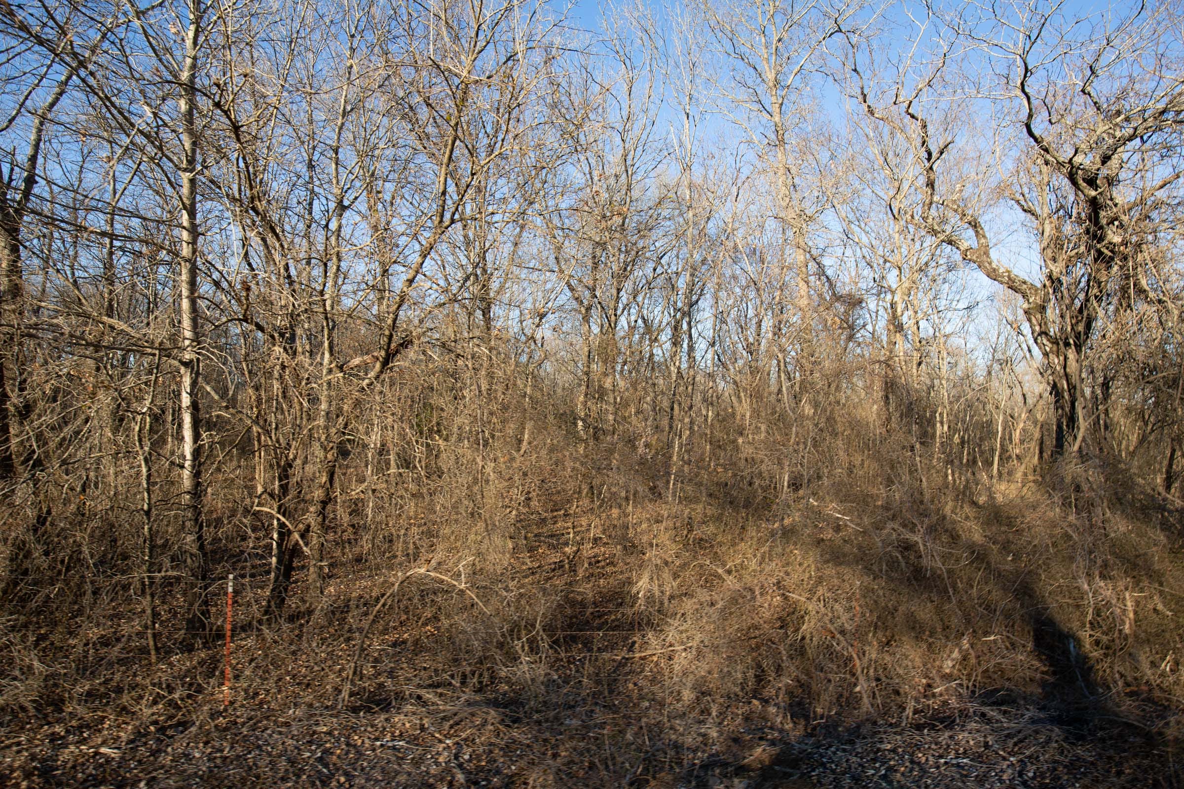 Painted Horse Tract 45 photo 14