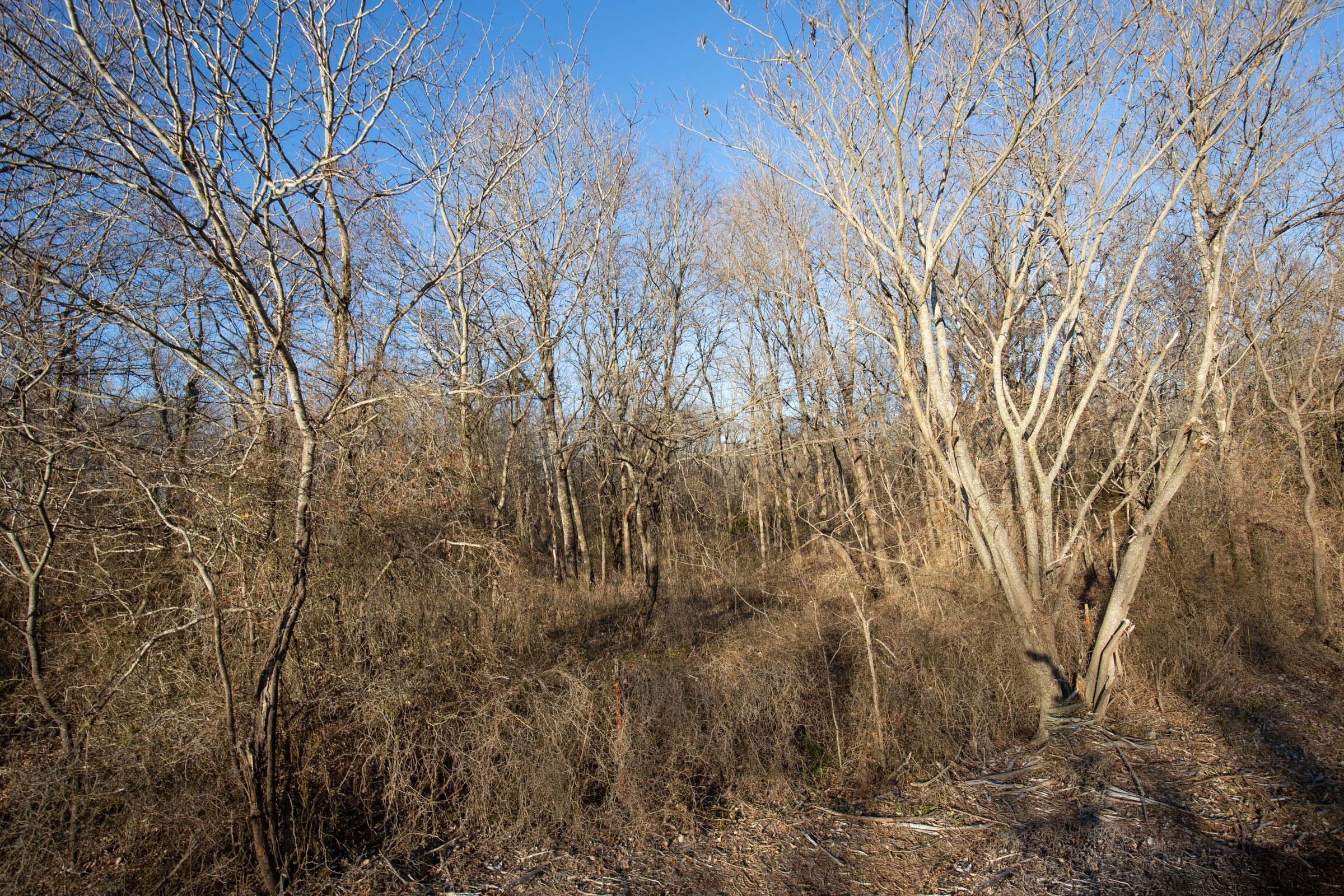 Painted Horse Tract 45 photo 15