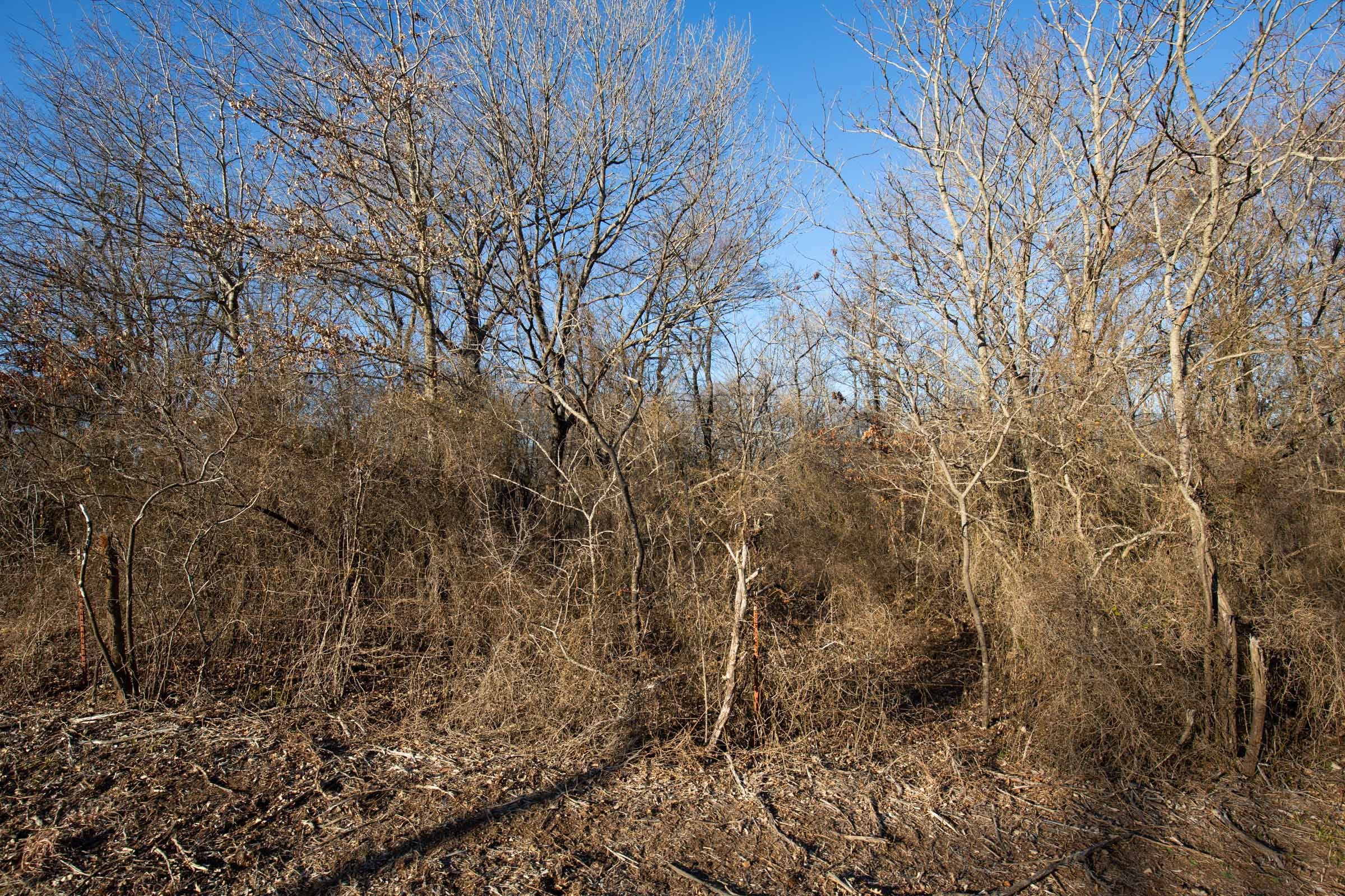Painted Horse Tract 45 photo 17