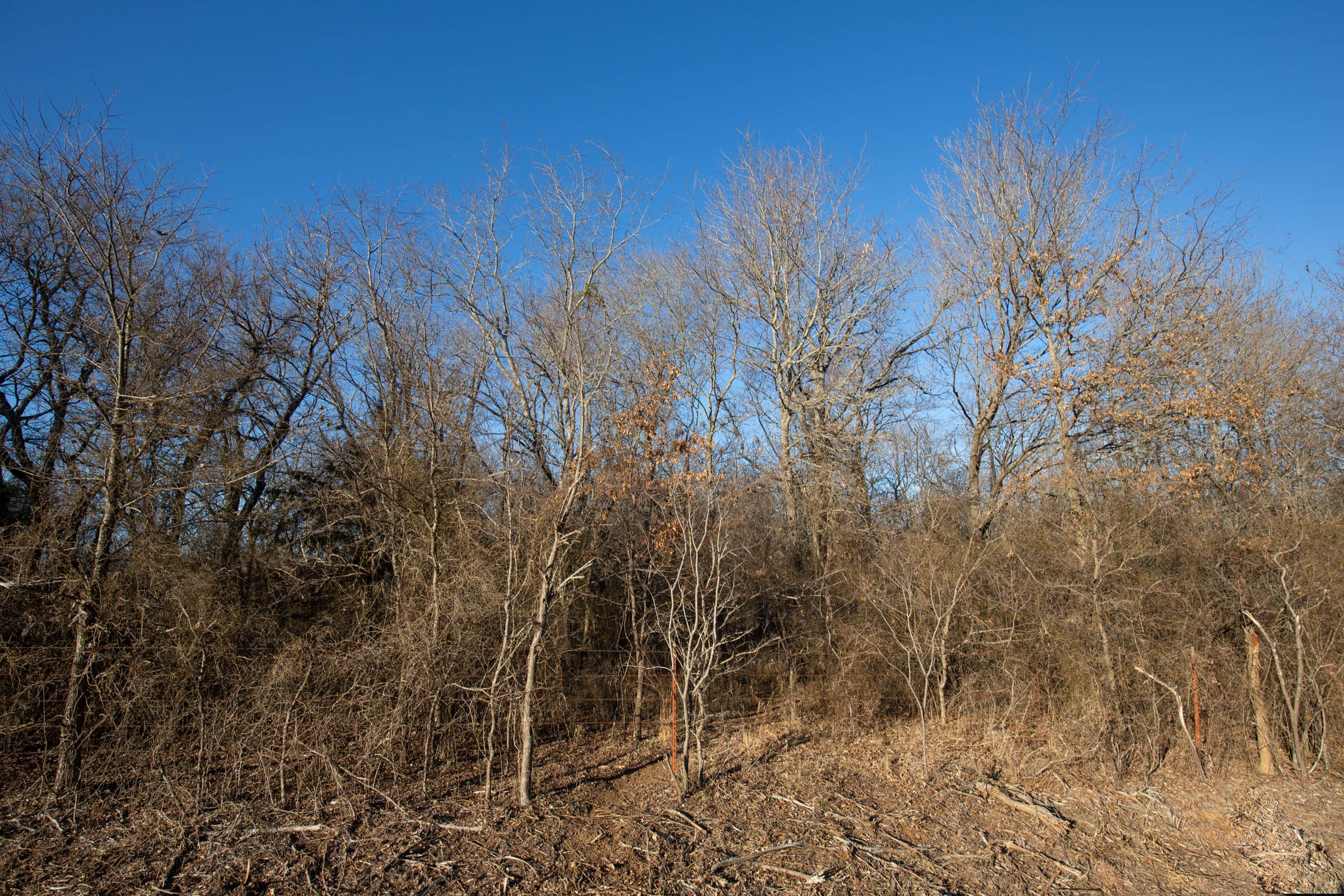 Painted Horse Tract 45 photo 18