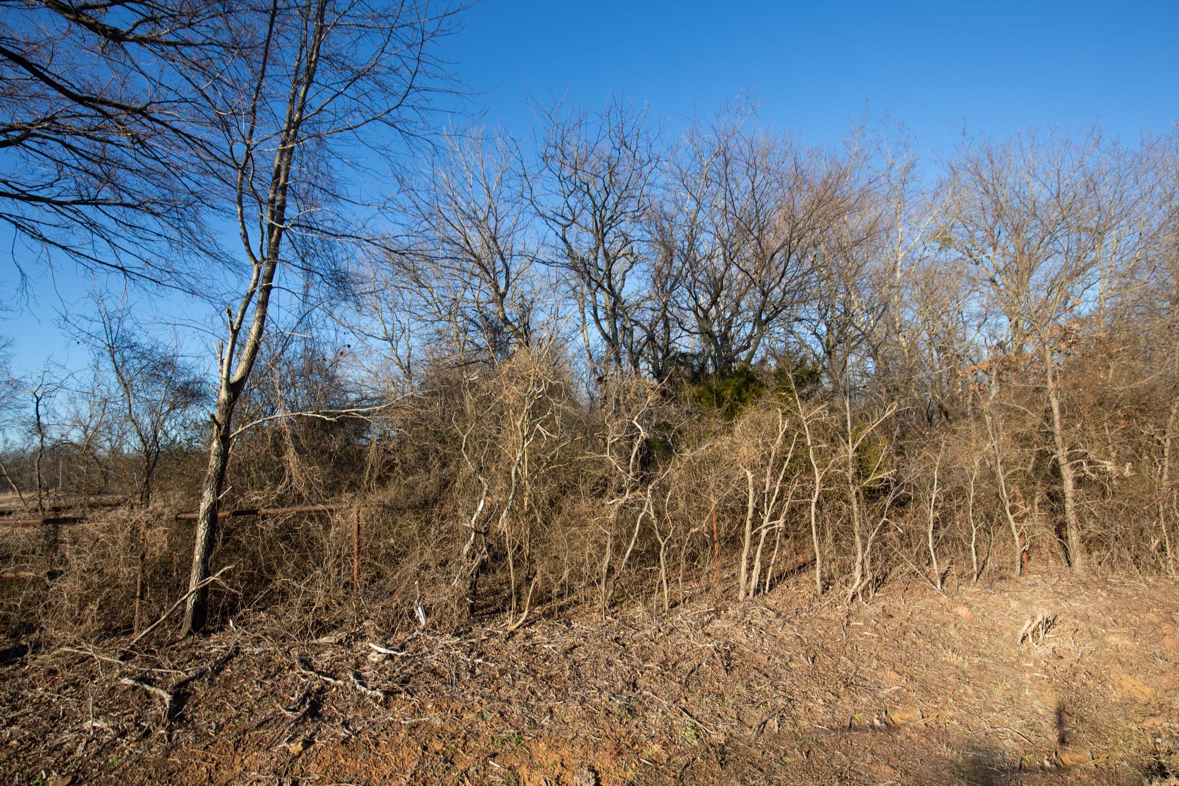 Painted Horse Tract 45 photo 19