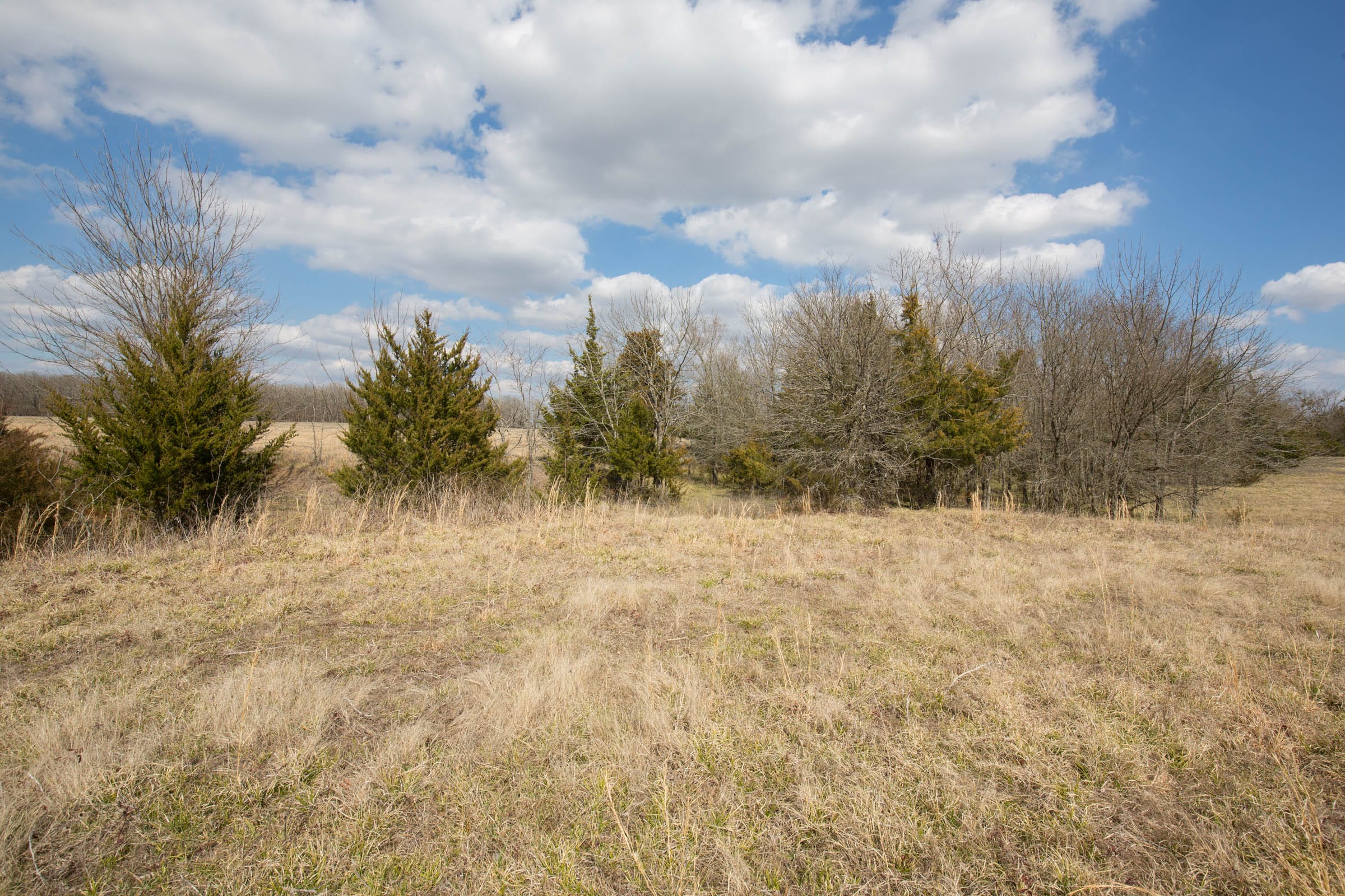 Wishing Star Ranch Tract 98 photo 4