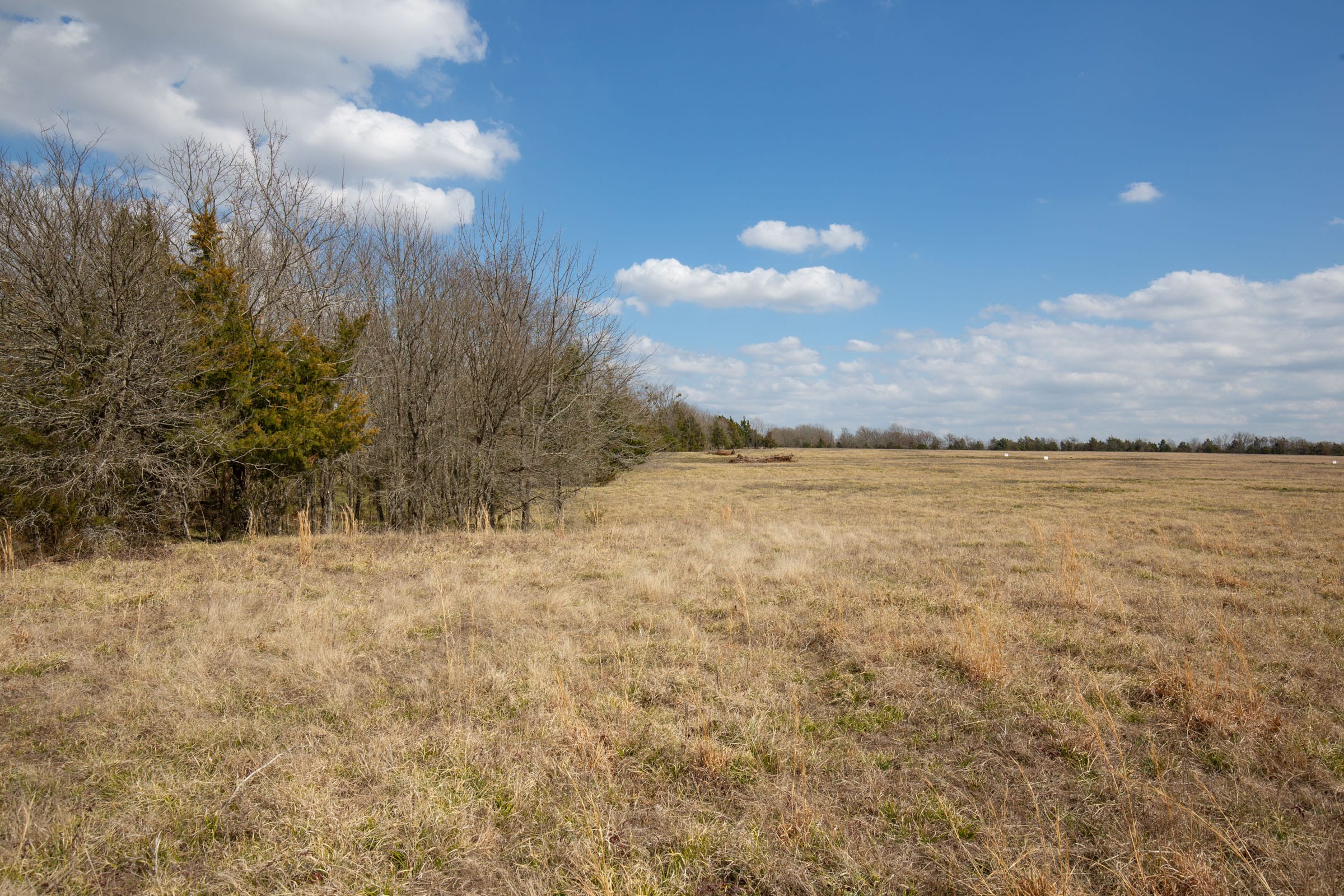 Wishing Star Ranch Tract 98 photo 5