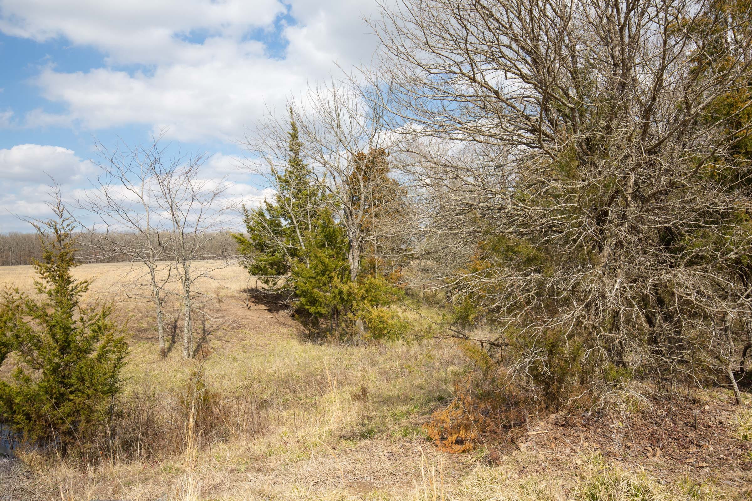 Wishing Star Ranch Tract 98 photo 6