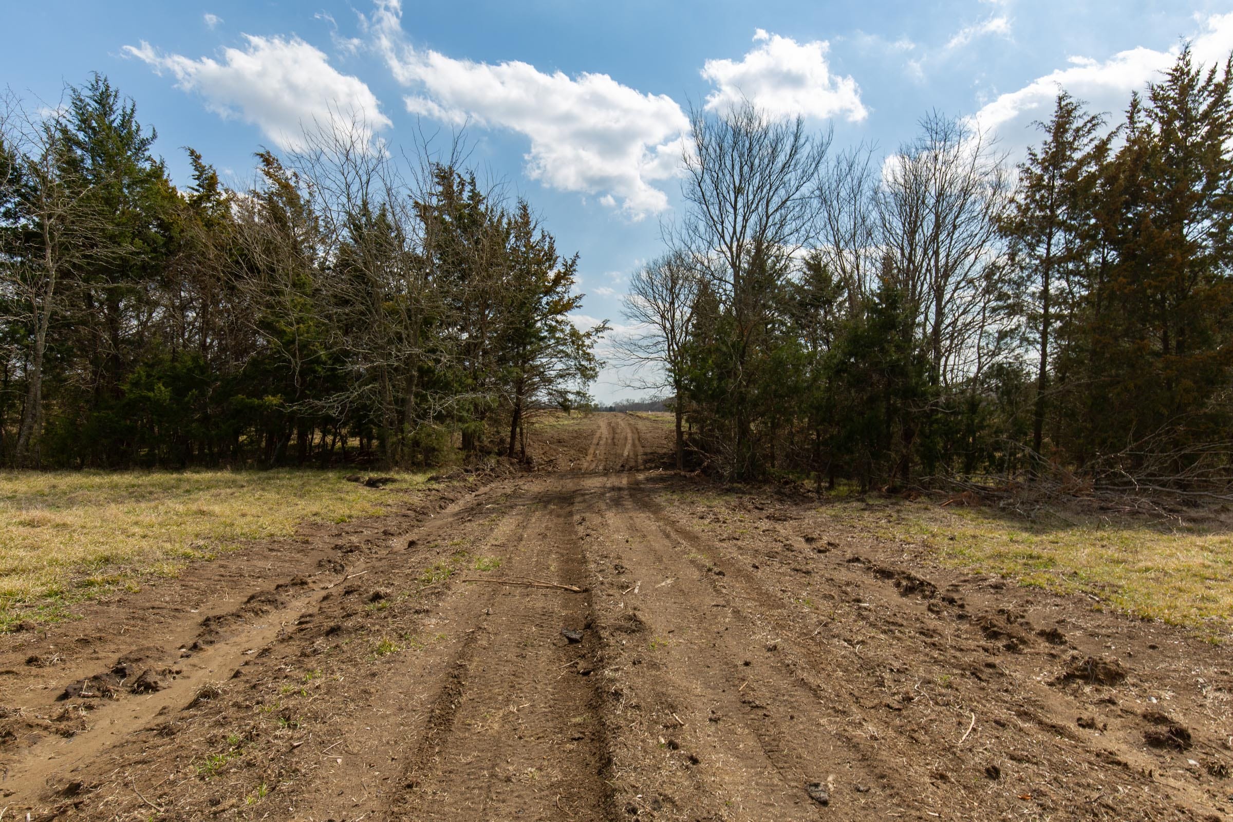 Wishing Star Ranch Tract 98 photo 1
