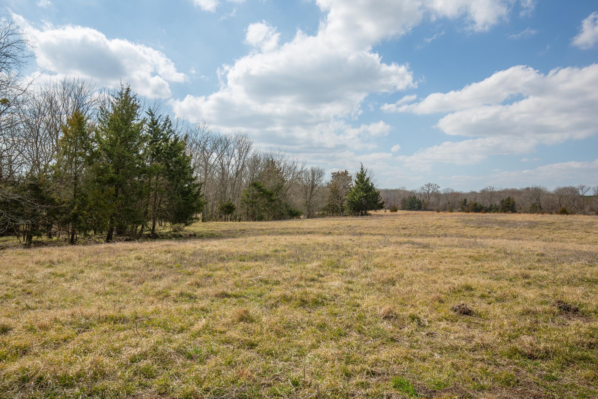 Wishing Star Ranch Tract 98 photo 8
