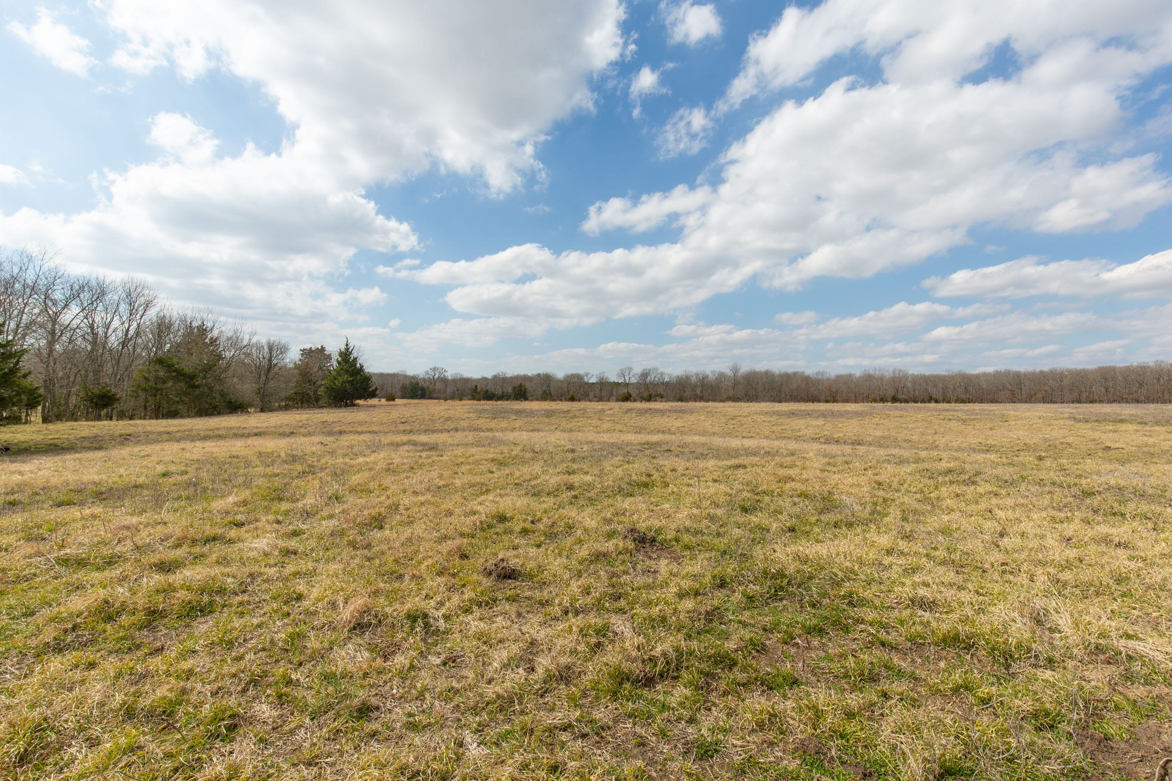 Wishing Star Ranch Tract 98 photo 9