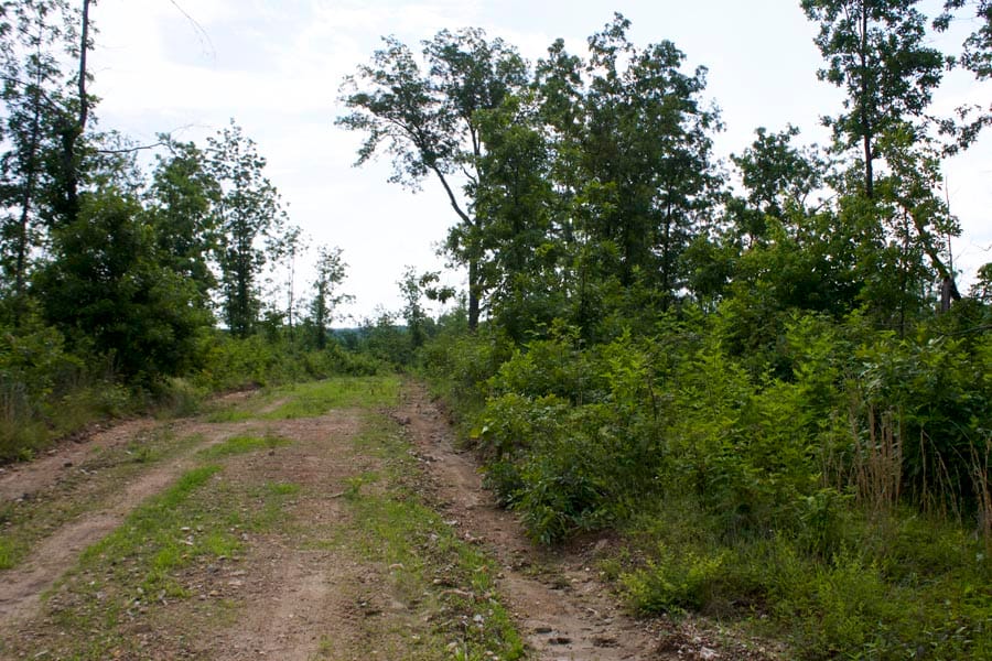 Thunder Mountain Ranch Tract 35 photo 8