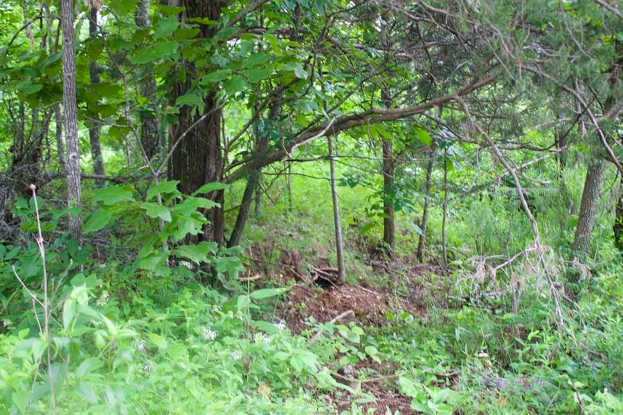 Thunder Mountain Ranch Tract 50 photo 1